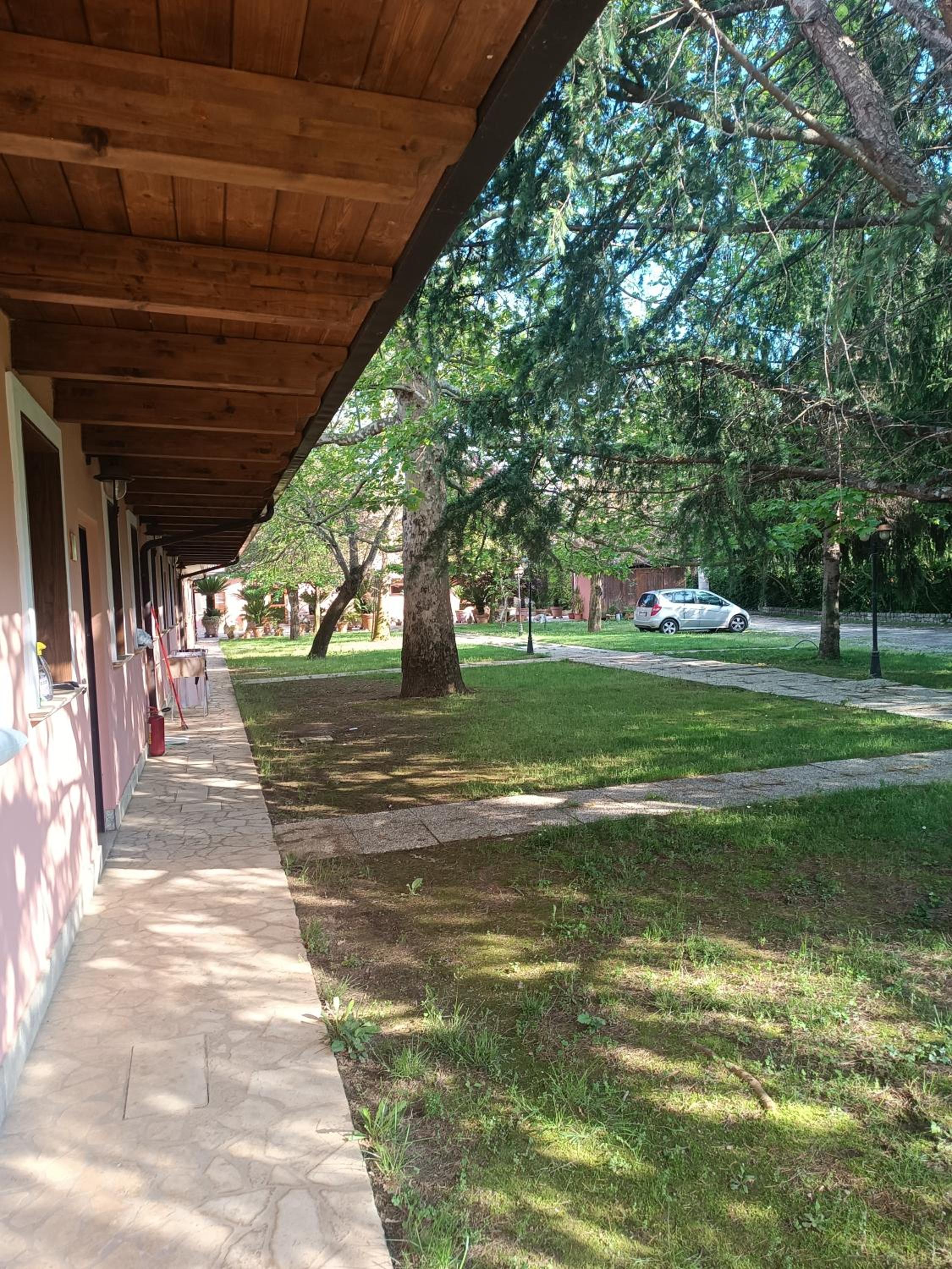 Photo 6
