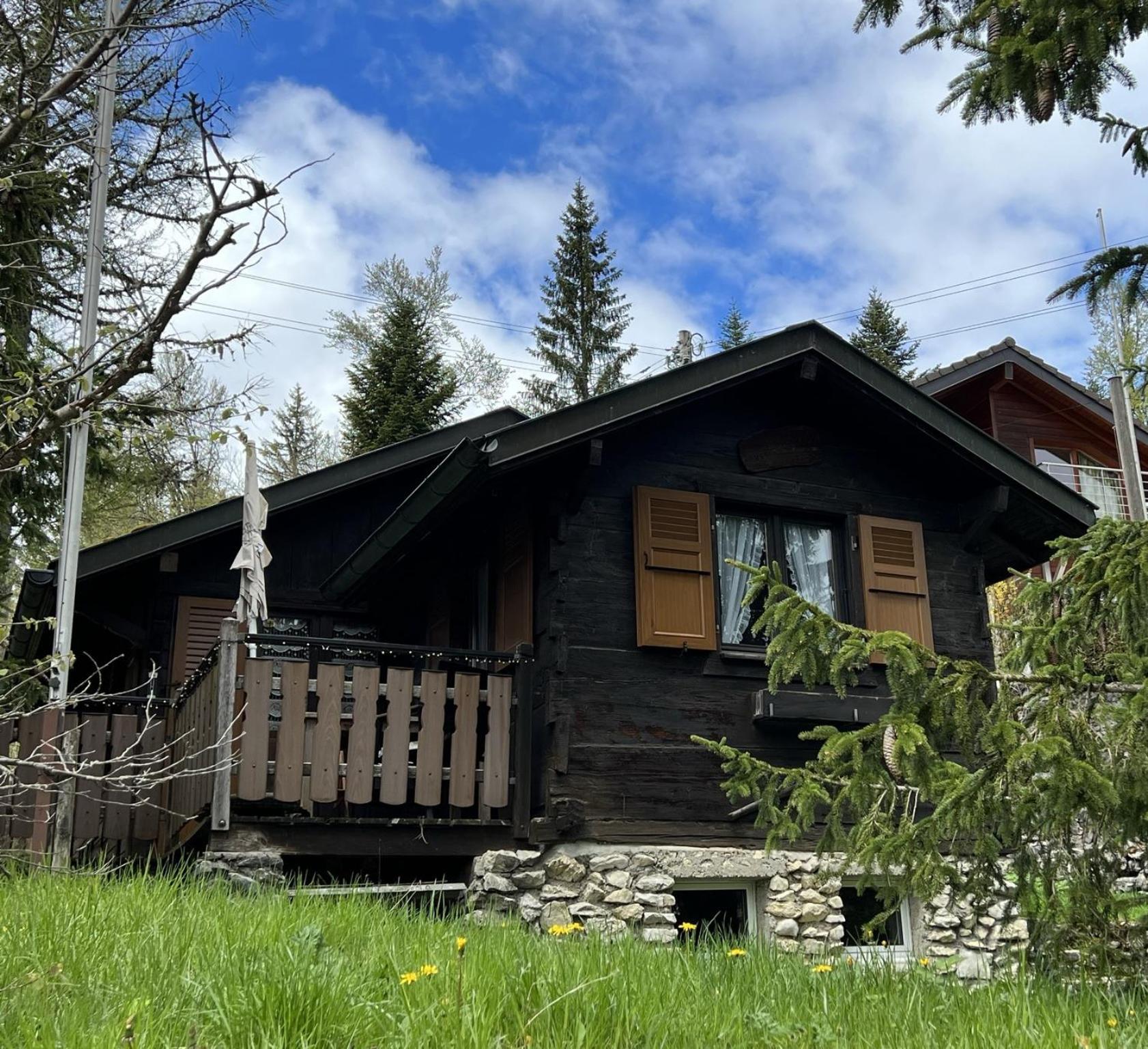 Entire cozy chalet in St-Cergue - 30 min from Geneva