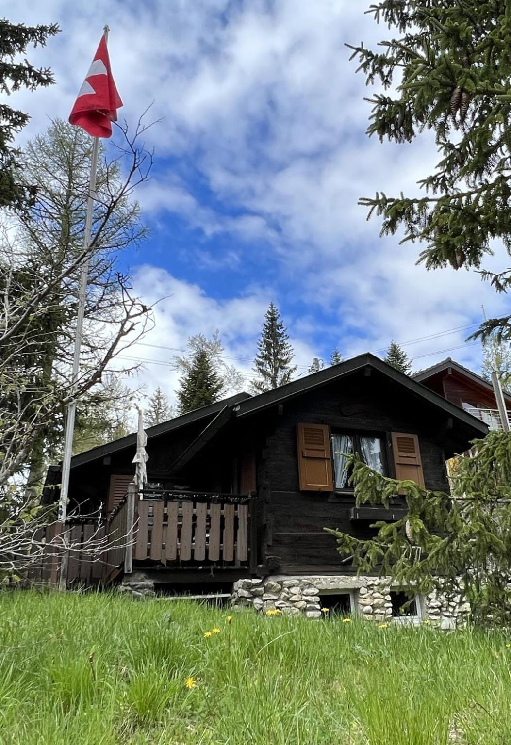 Entire cozy chalet in St-Cergue - 30 min from Geneva