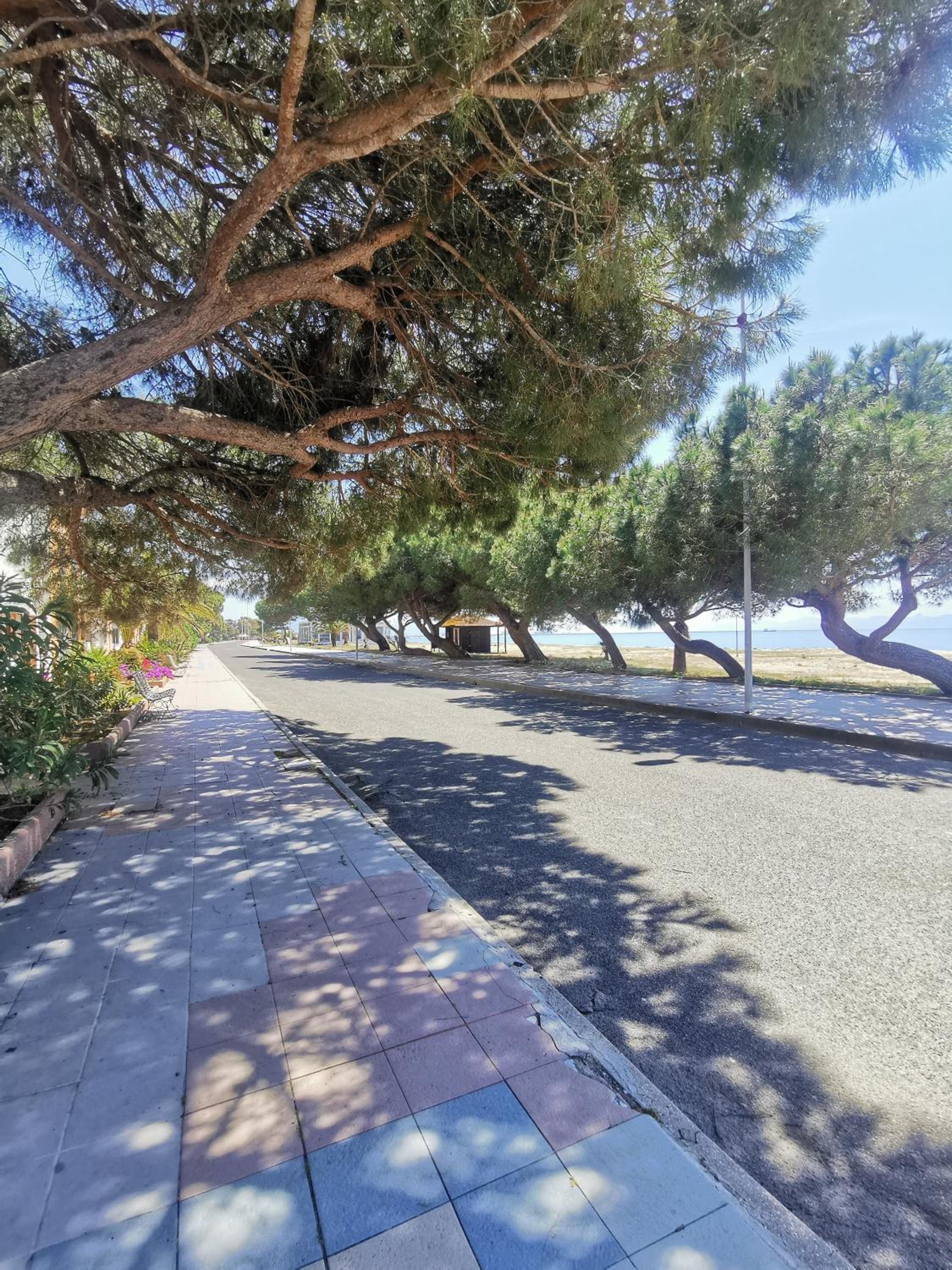 Pachisa sul mare view 3
