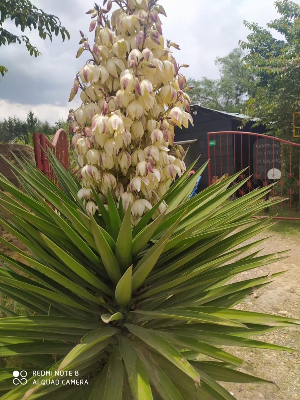 El Hayuelo Ecolodge