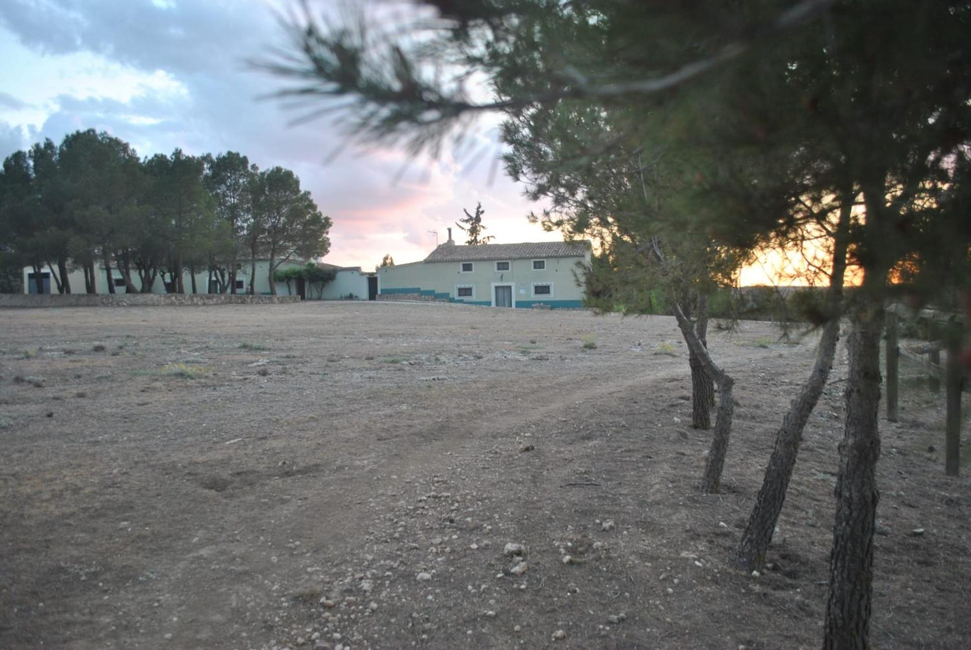 Photo 21