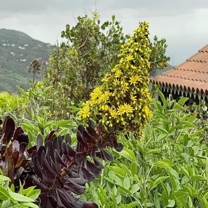 Casa Rural de La Luna, La Palma view 2