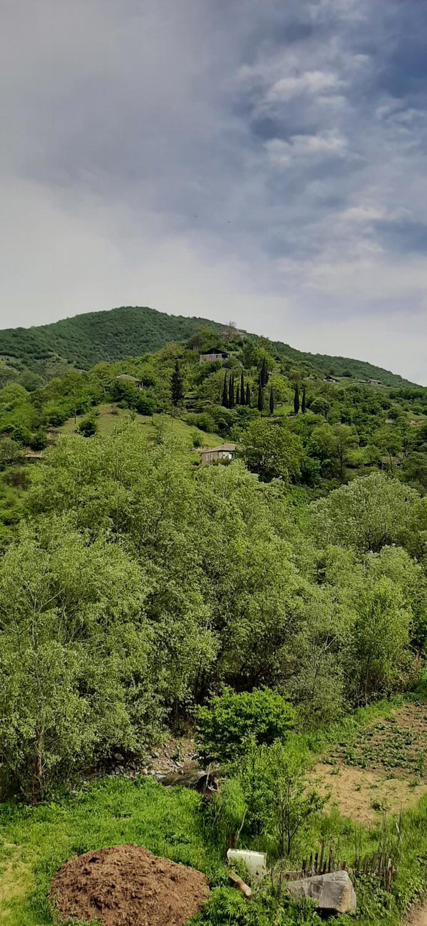 Shen toon guesthouse