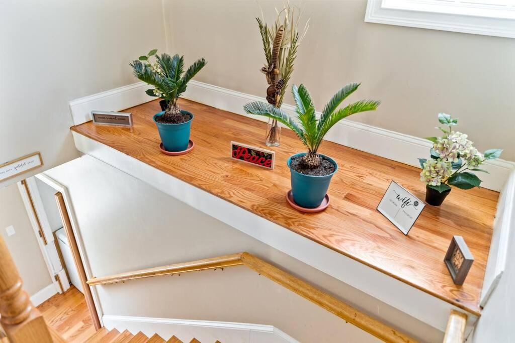 Spacious 6BR Quincy Apt - Balcony, Kitchen, Laundry, near Beach & Red Line 555