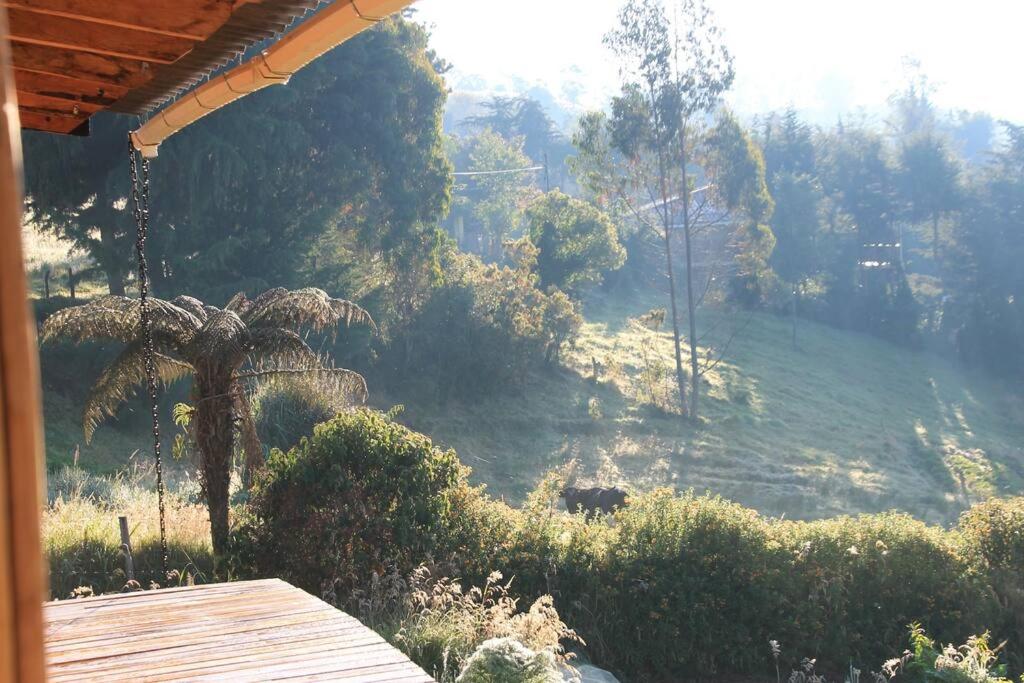 Chalet Enquiry for Peace and Love with Nature