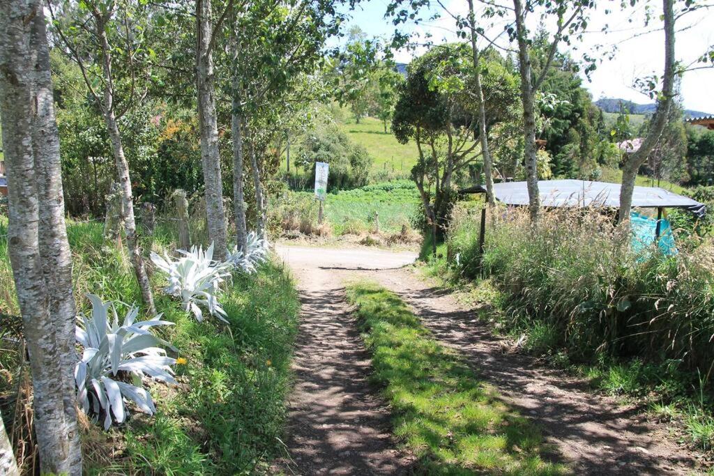 Chalet Enquiry for Peace and Love with Nature