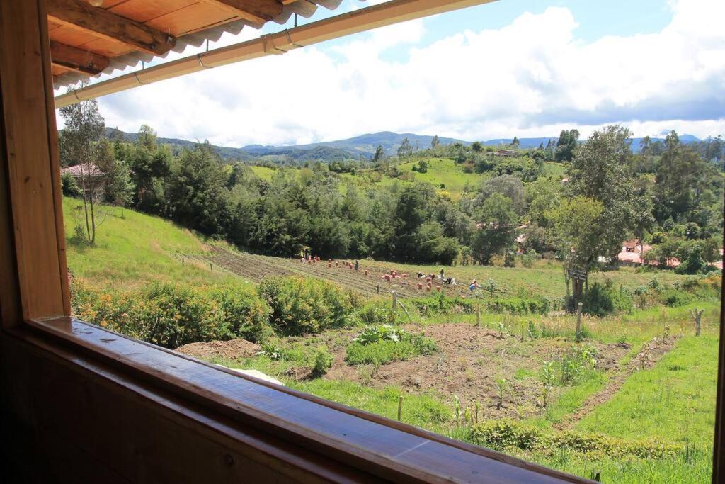 Chalet Enquiry for Peace and Love with Nature