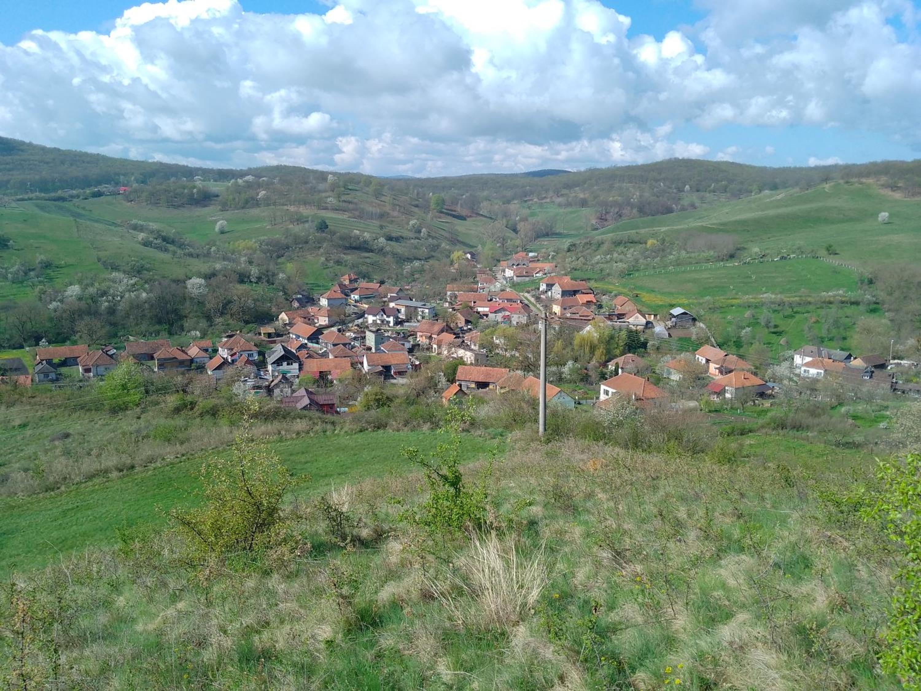 Photo 13