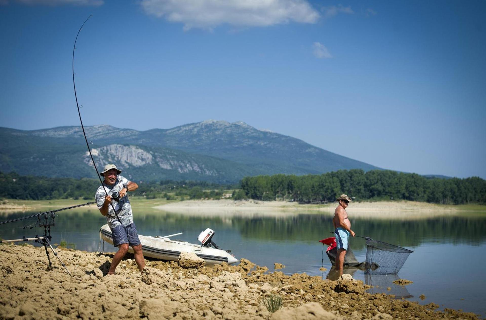 Photo 40