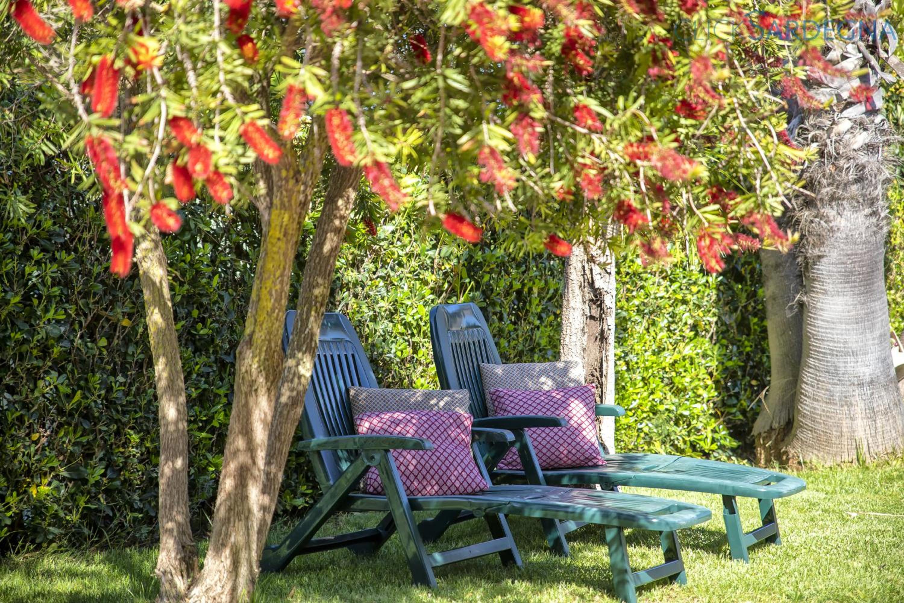 Alghero Villa Galatea con giardino per 8 persone vicino alla spiaggia con 4 camere view 3