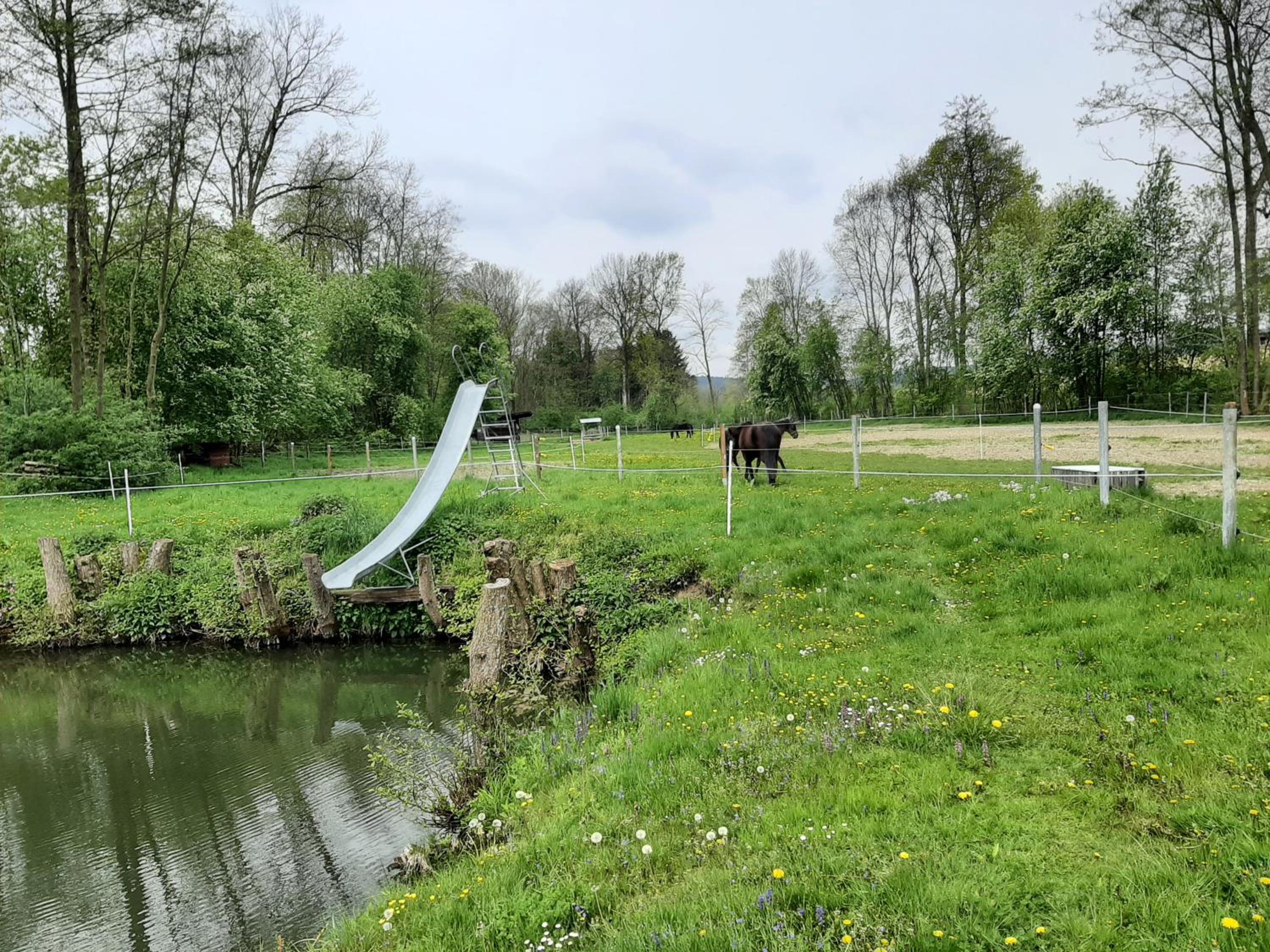 Schöne Wohnung am Bauernhof