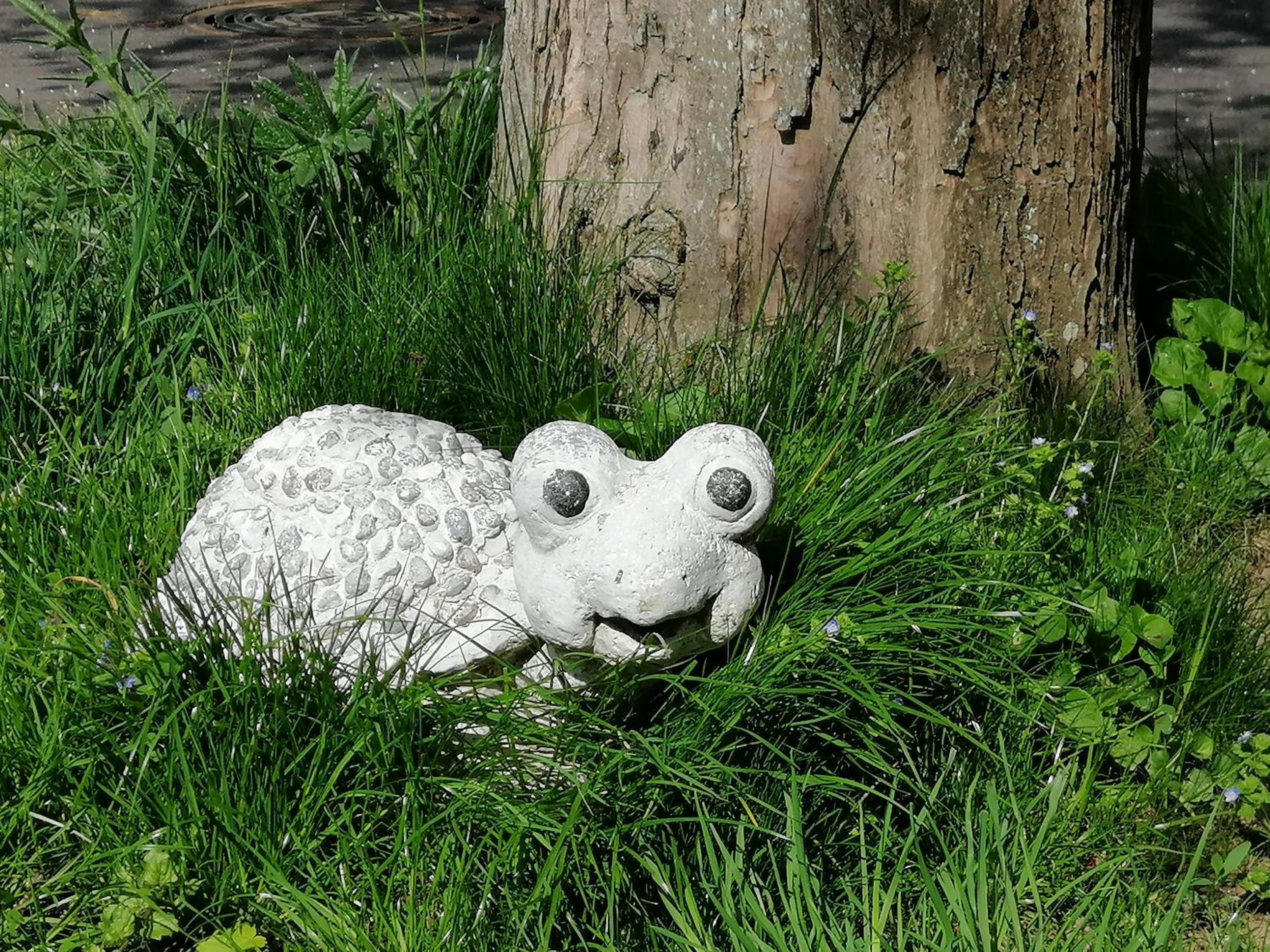 Photo 26
