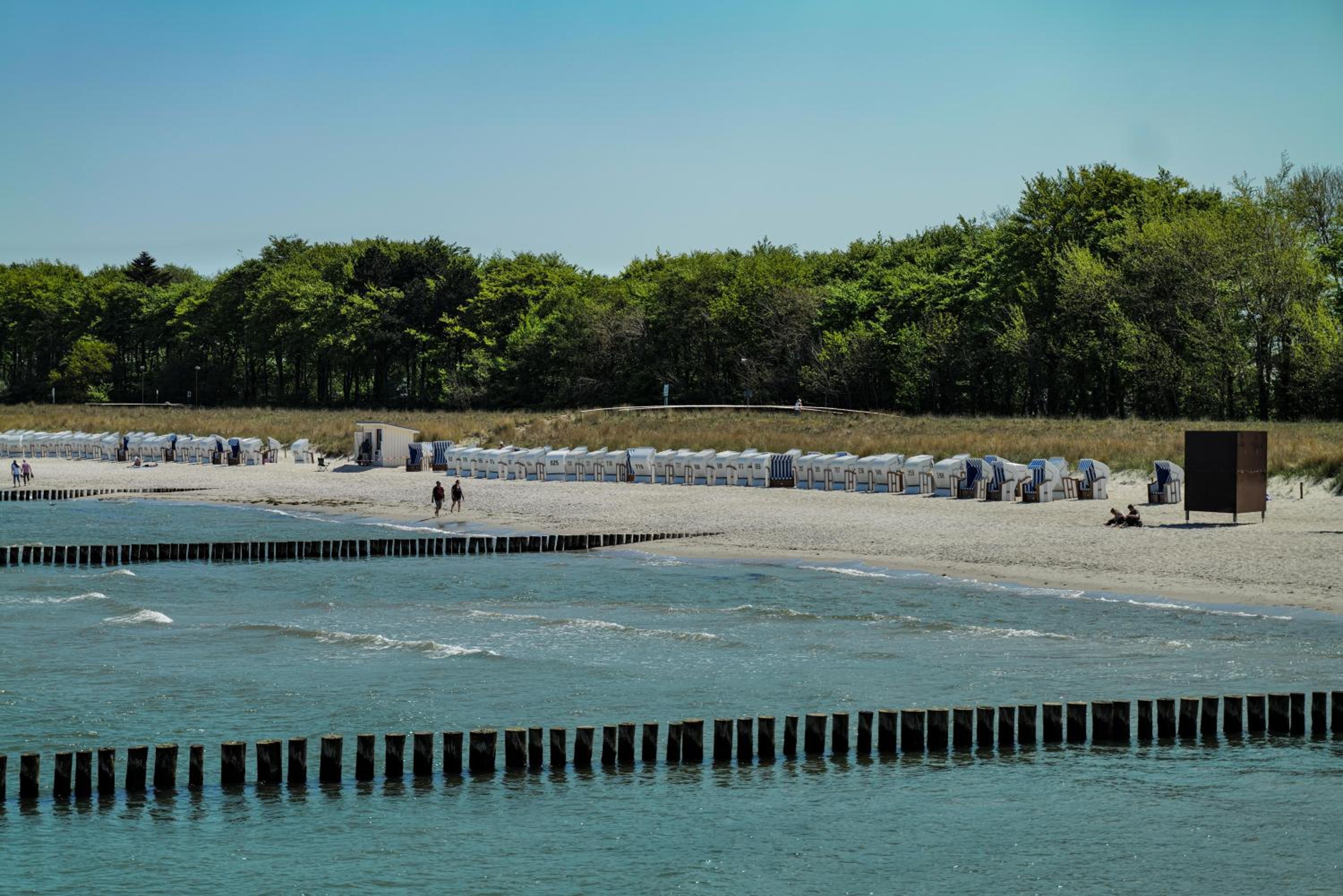 Ferienwohnungen Meerfarbig Zingst - HAUSTIERFREI -Terrasse mit Strandkorb oder Balkon - Glasfaser - Parkplatz - Fahrradschuppen - Waschtrockner - E-Ladesäu