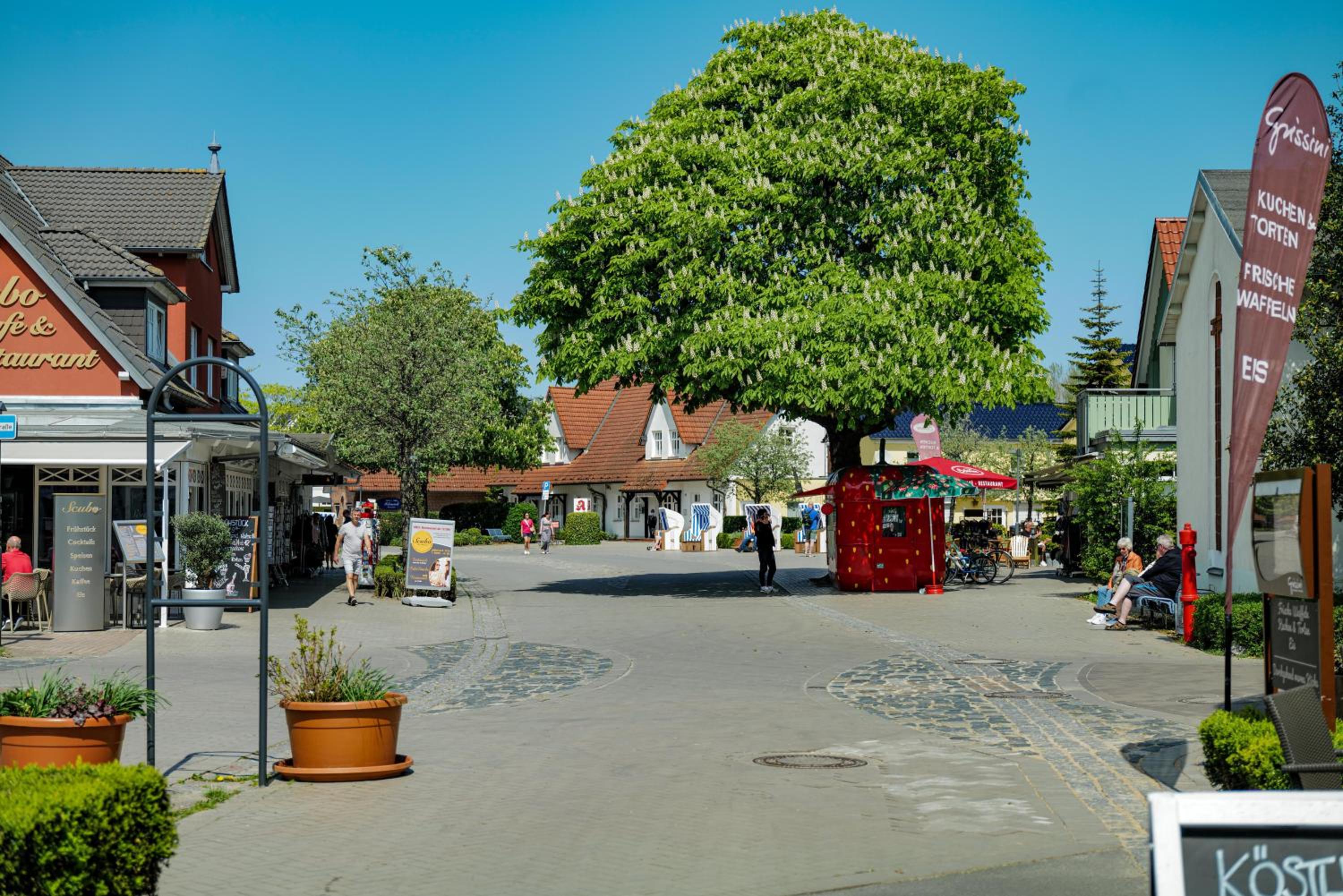 Ferienwohnungen Meerfarbig Zingst - HAUSTIERFREI -Terrasse mit Strandkorb oder Balkon - Glasfaser - Parkplatz - Fahrradschuppen - Waschtrockner - E-Ladesäu