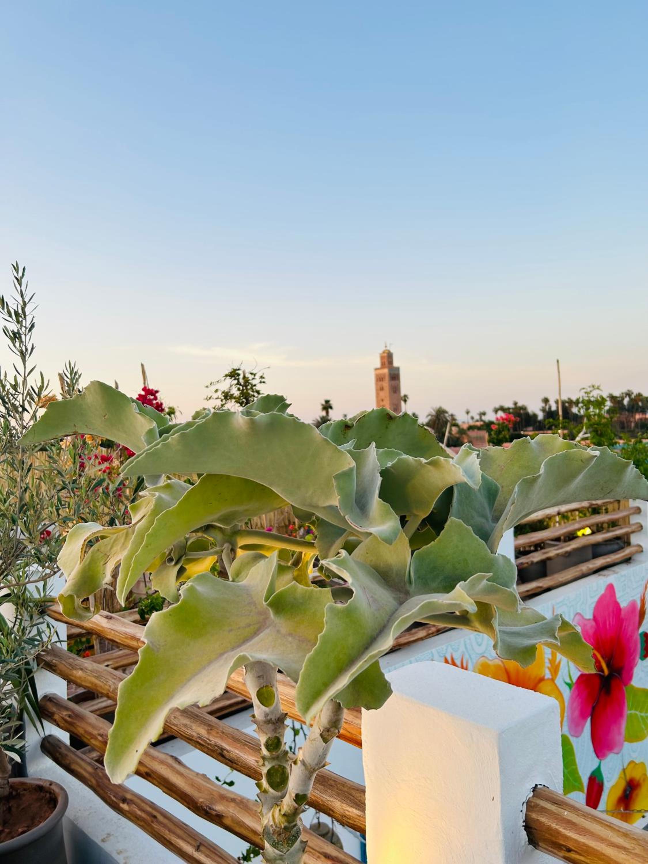 Riad Tsar Mimoun