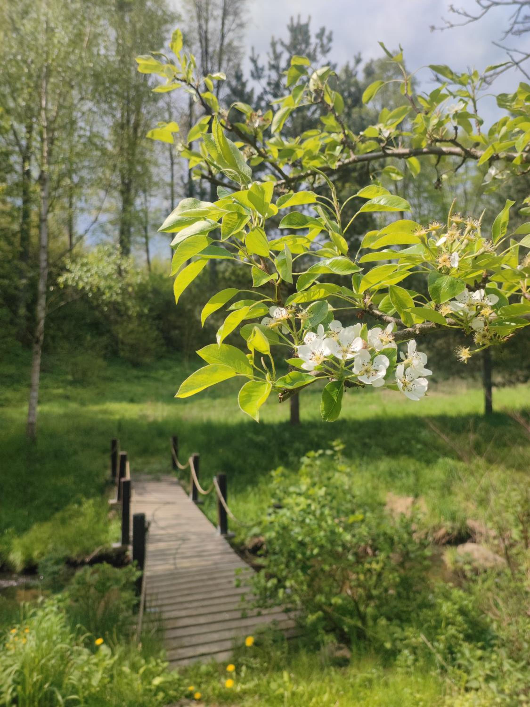 Lusatia Farm view 3