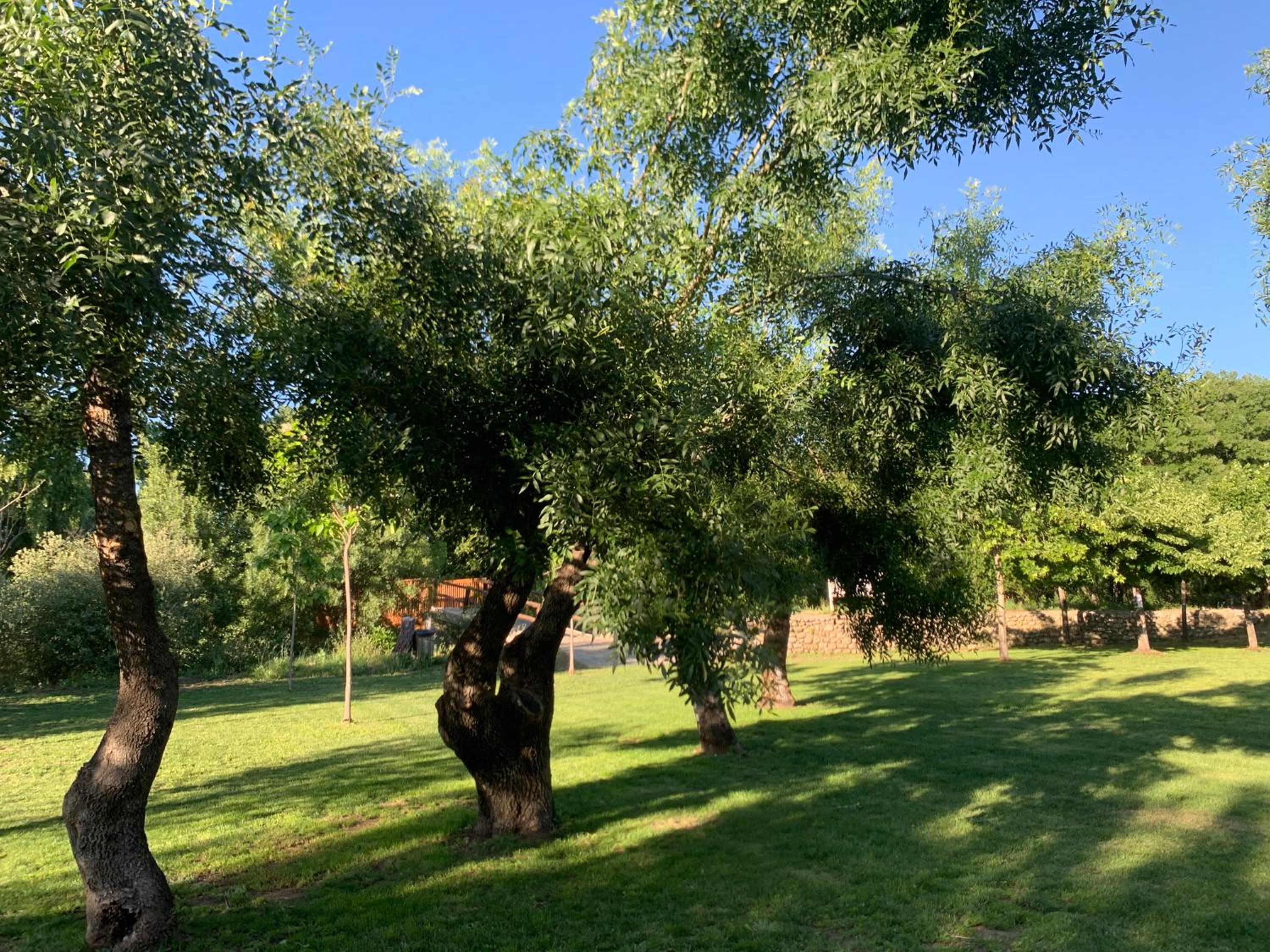 El Encanto de Abadía