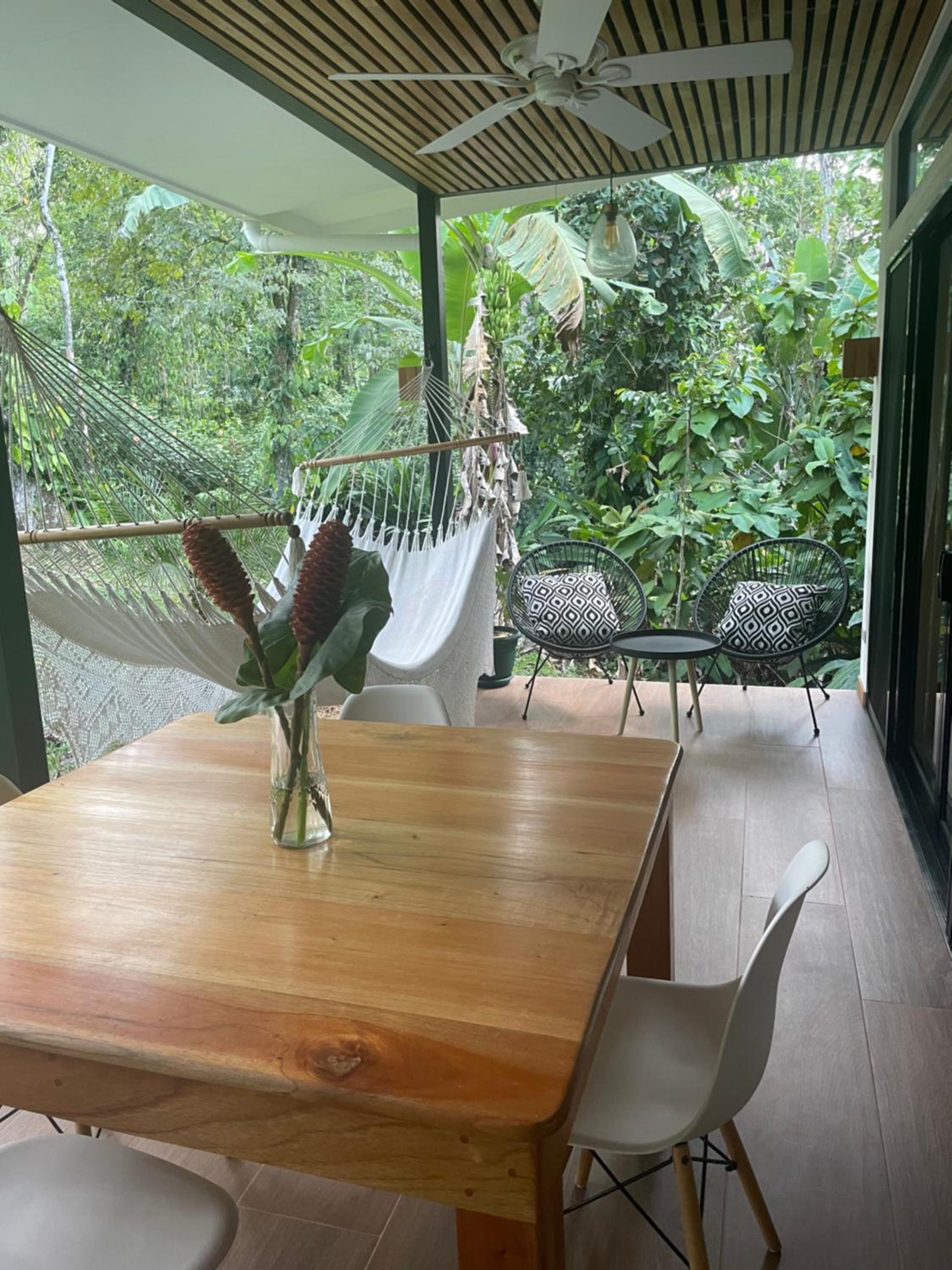 Caribbean Irie - charming, luxurious bungalow in nature with AC & fiber optic wifi