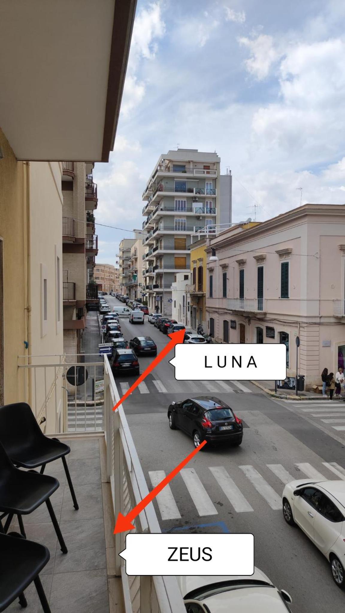ZEUS en Monopoli — other