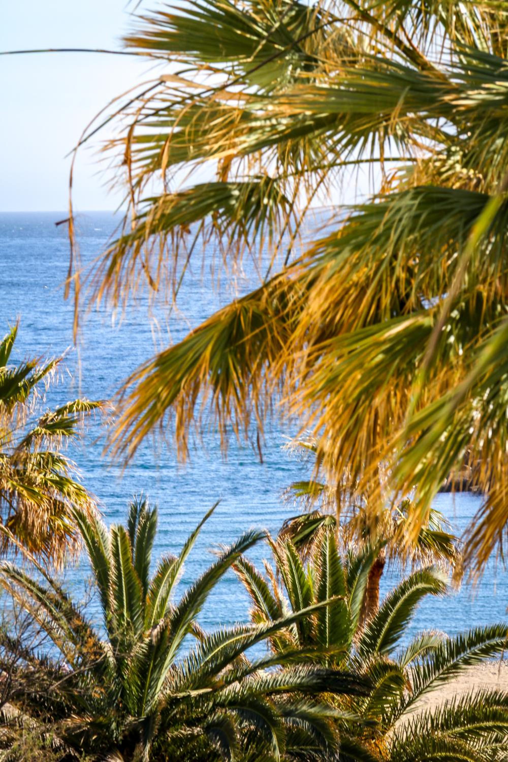 MARBELLA BANUS SUITES - Banus Playa Rocio Beachside Complex