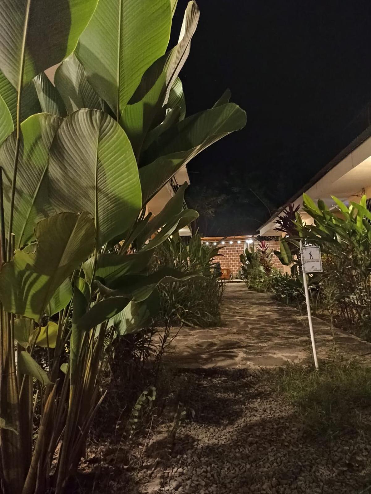 Bijao Hostel, photo 12