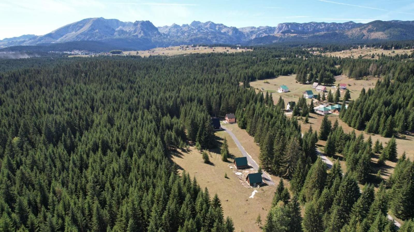 Rajska suma view 2