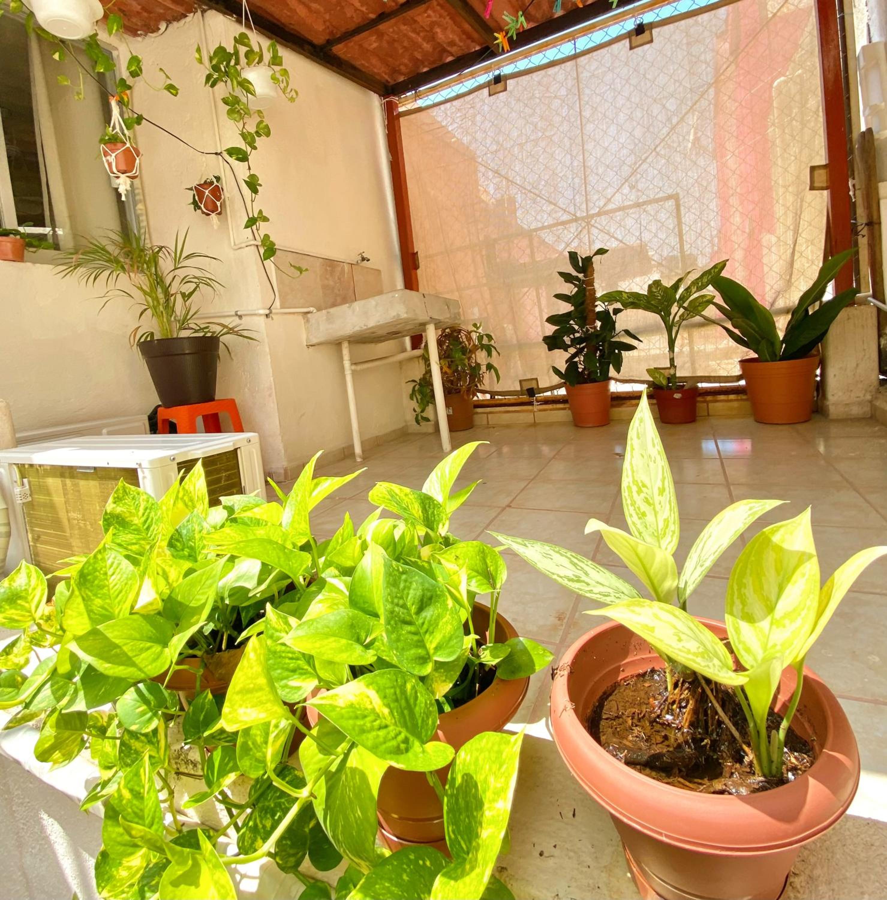 Casa ALOA Ixtapa view 3