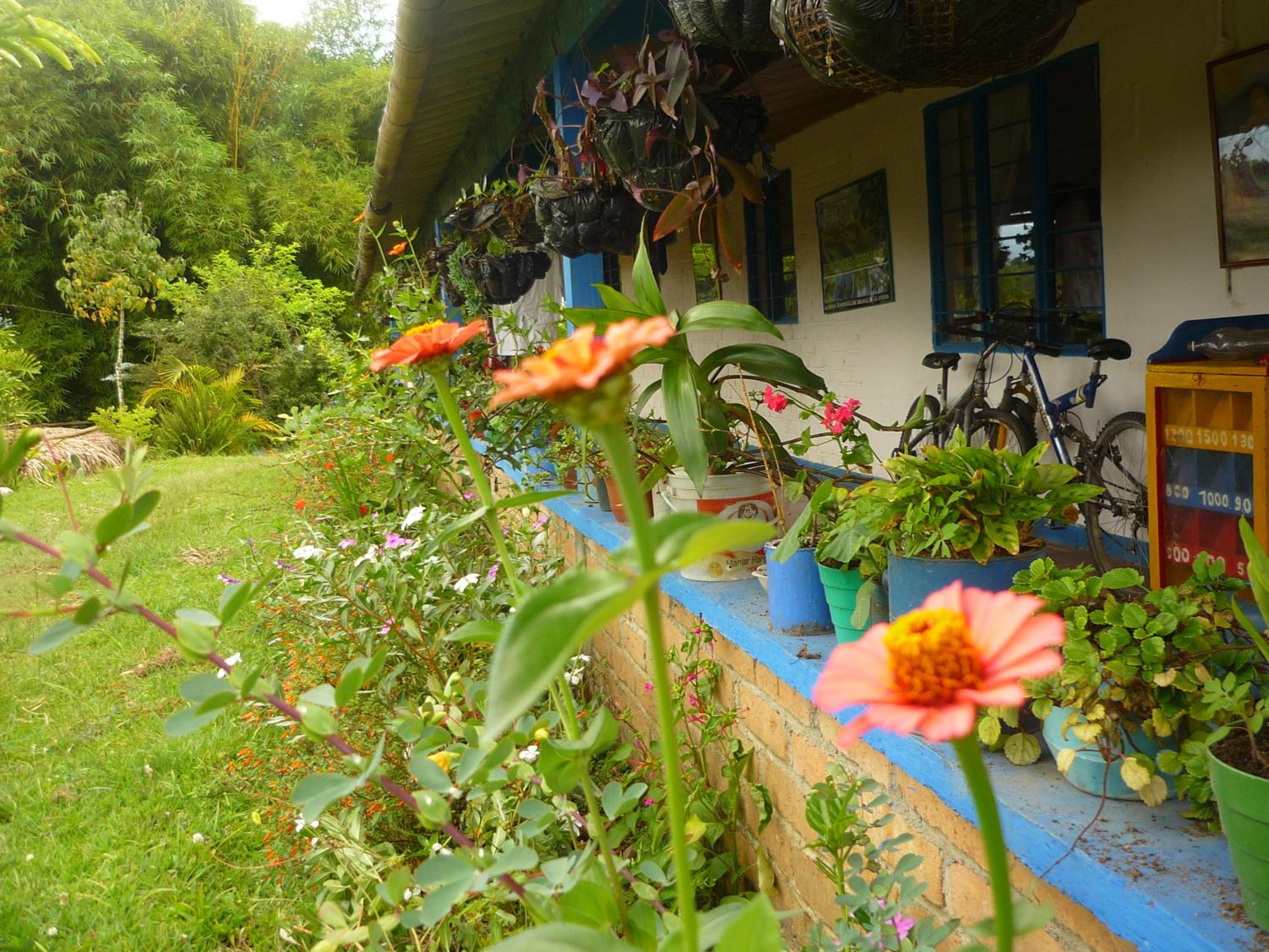 hostal Sueño Paraiso- Observatorio astronómico