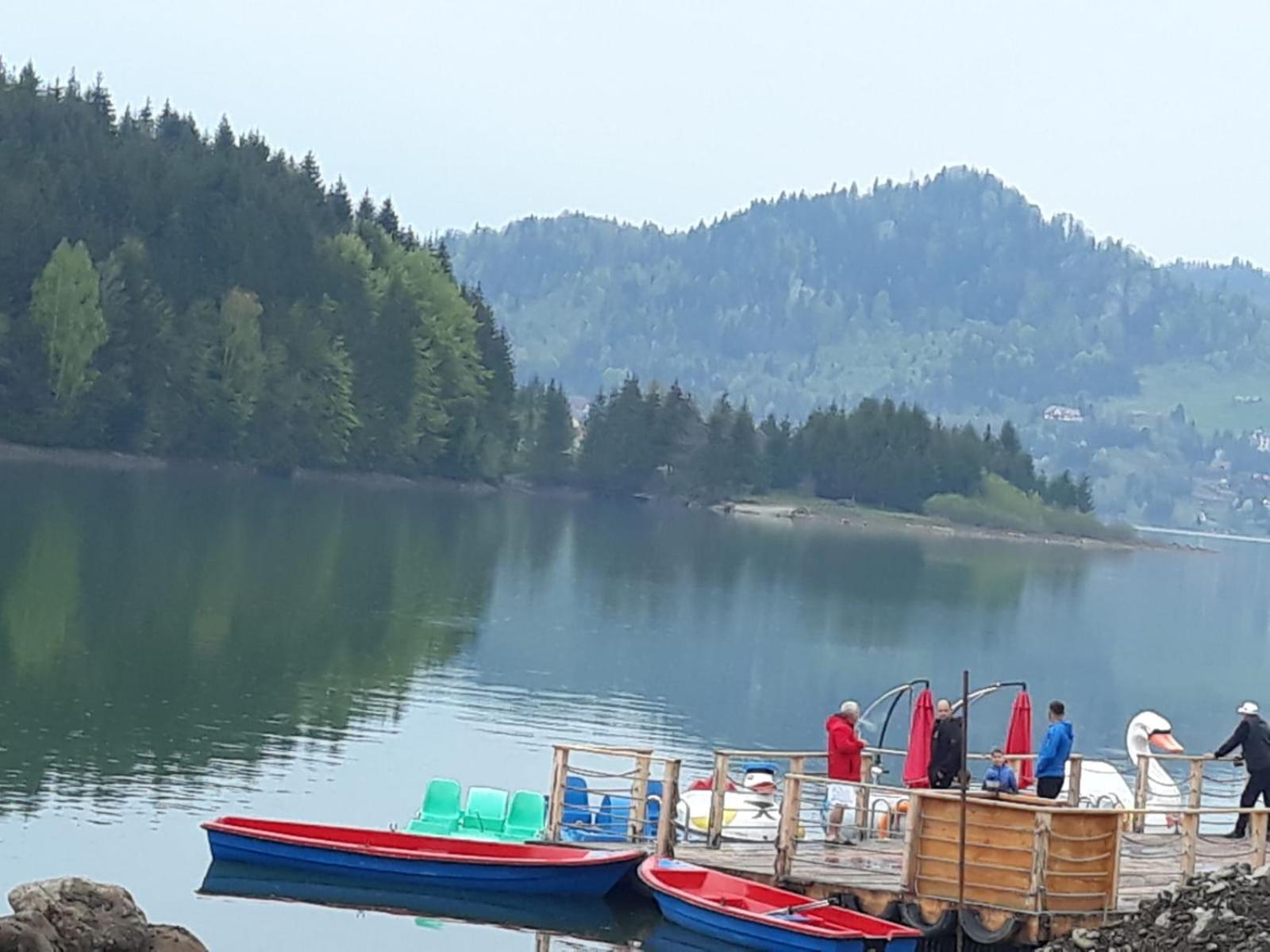 Casa de vacanță Perla Colibitei view 5