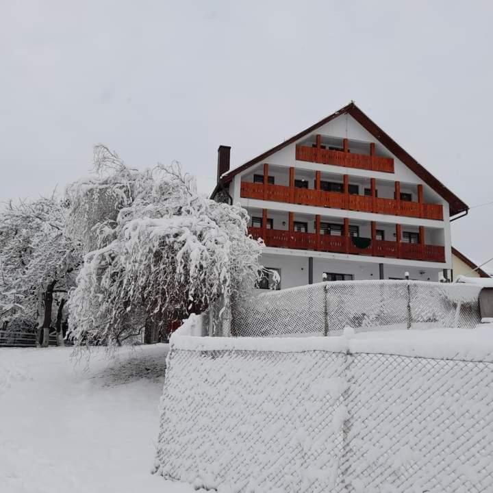 Casa de vacanță Perla Colibitei view 4