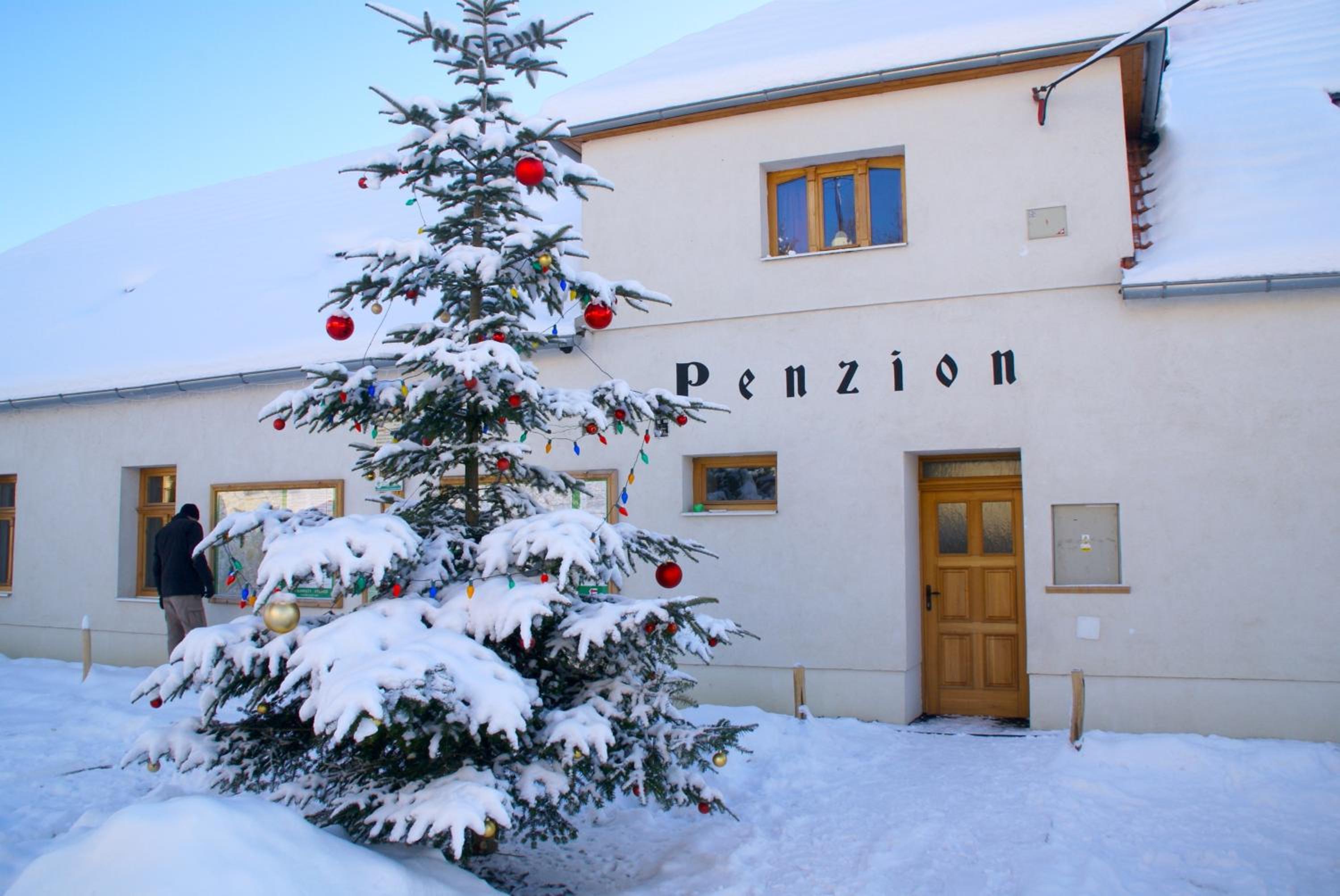 Penzion U Černého Potoka