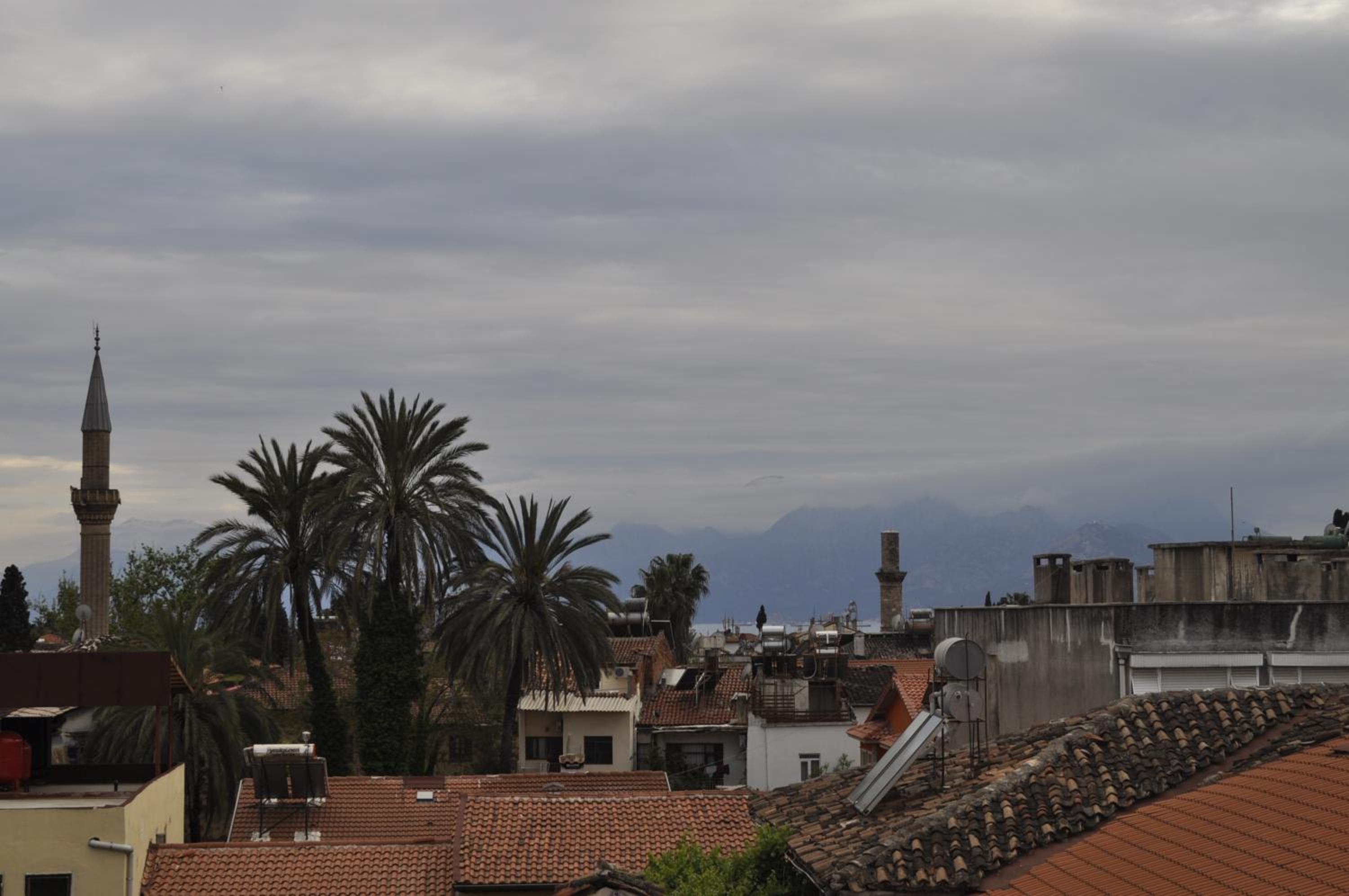 Erkal Pension - Image 134