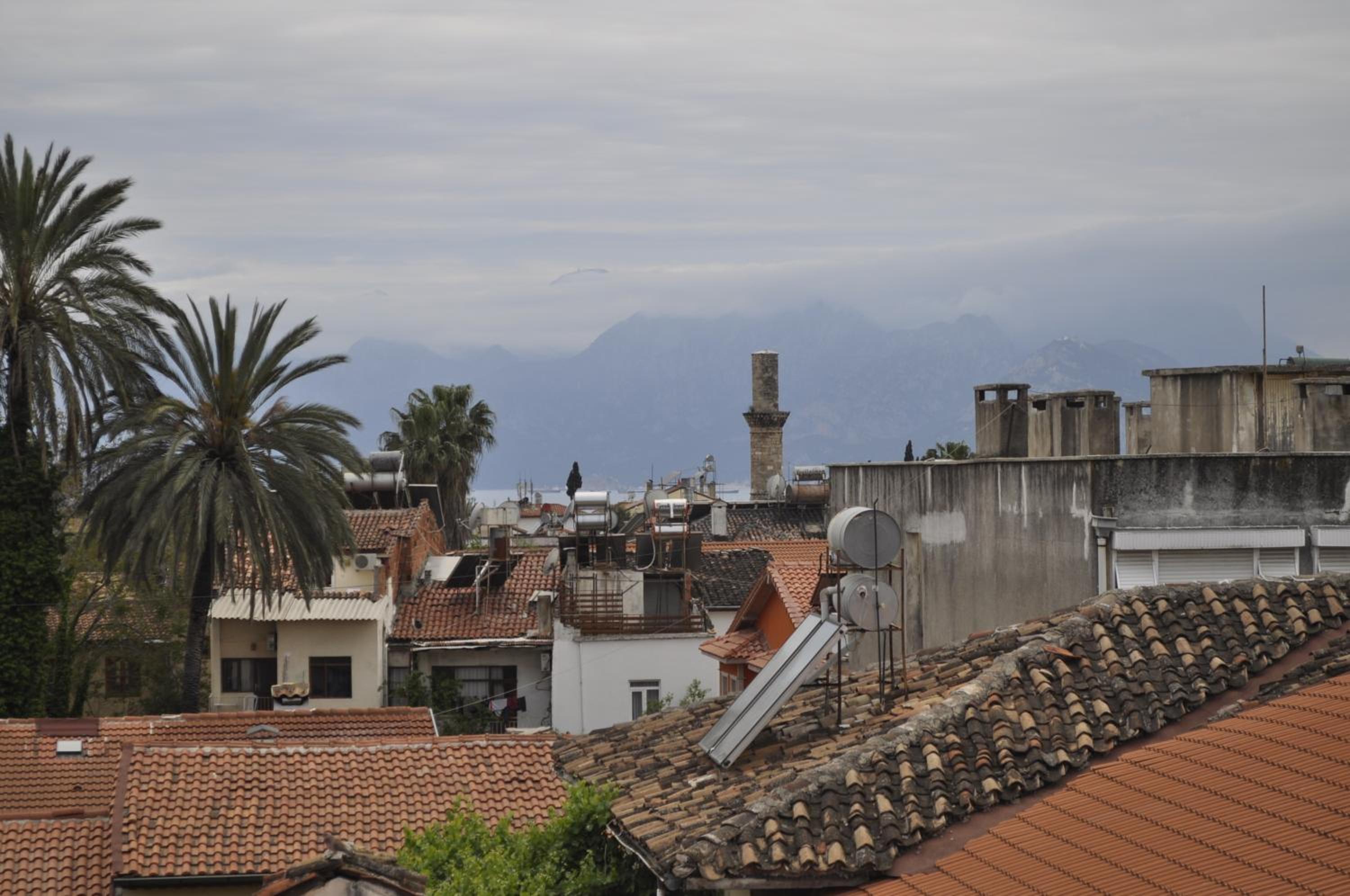 Erkal Pension - Image 139