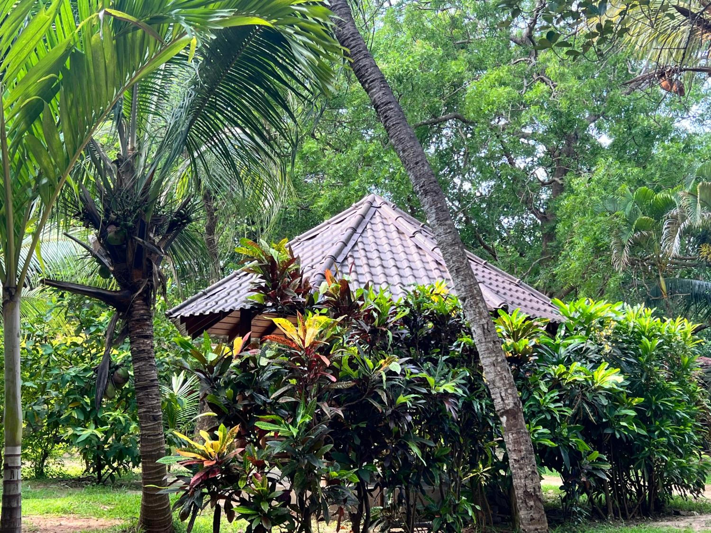 Gatetrees resort view 4