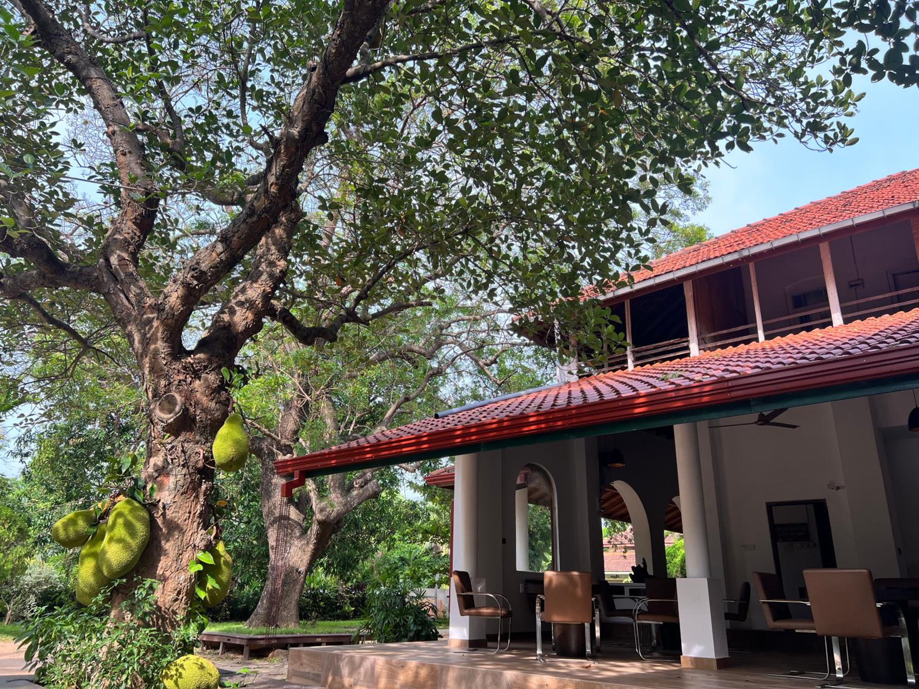 Gatetrees resort view 5