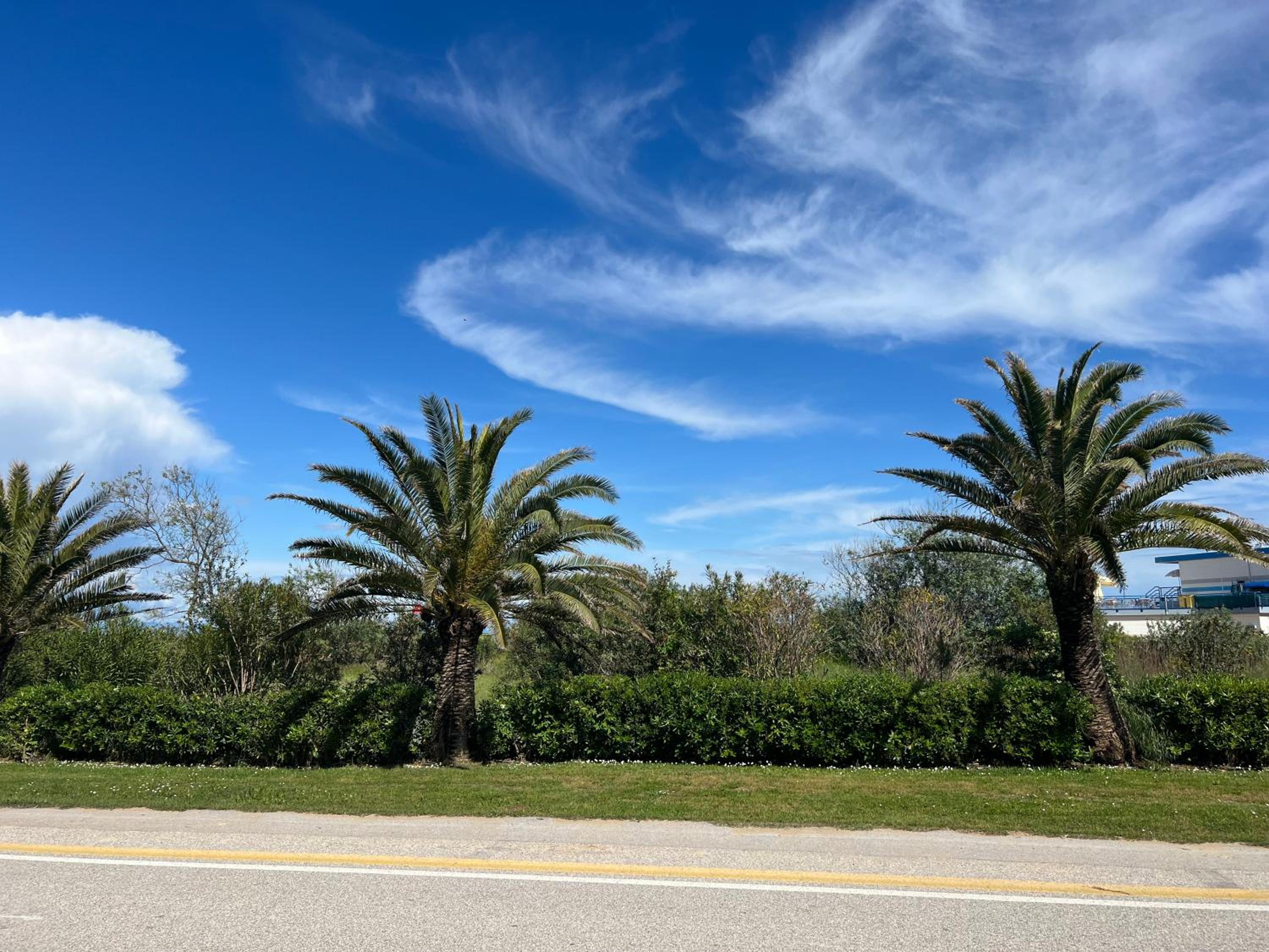 Beach House Riviera photo 4