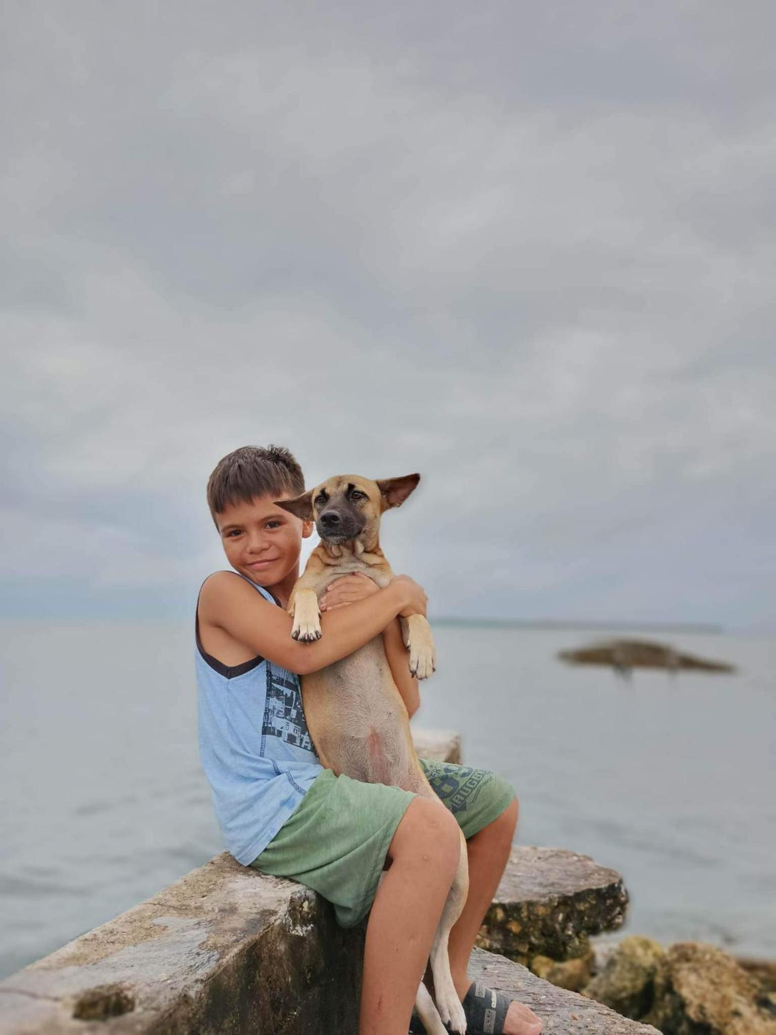 Photo 43