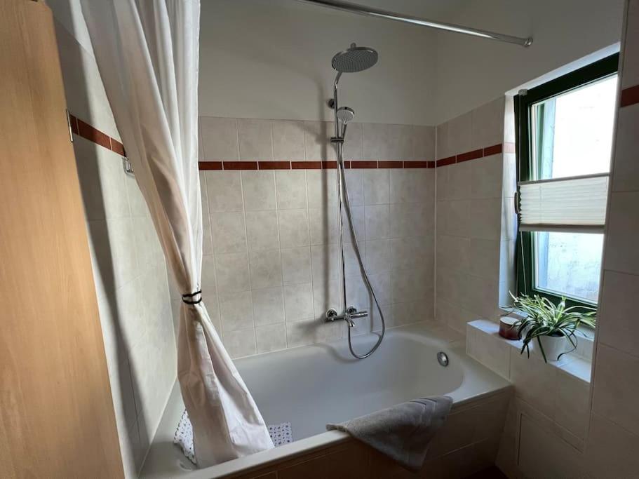 Traumwohnung am Altstadt Hafen Stralsund
