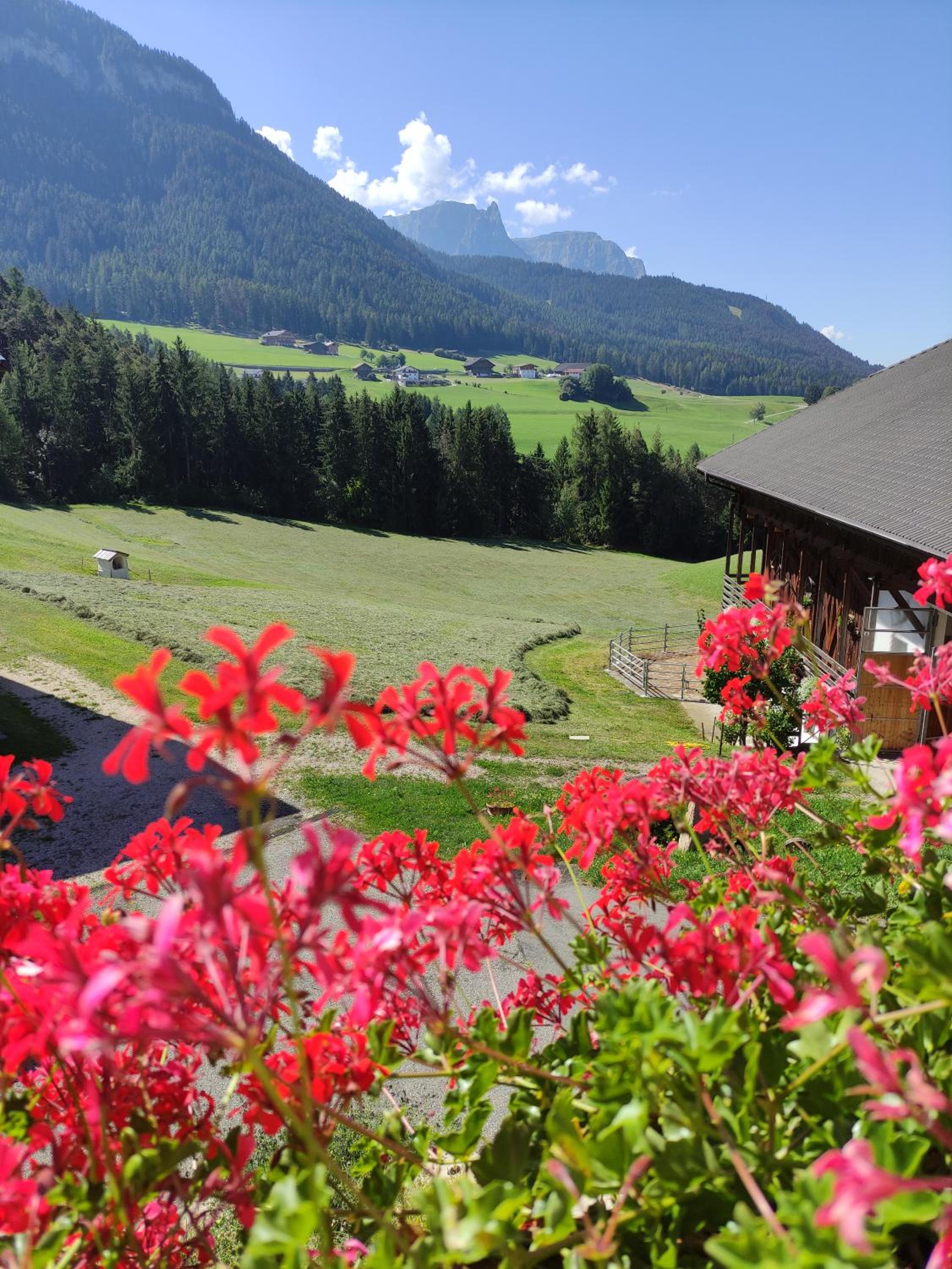 Polzhof view 2
