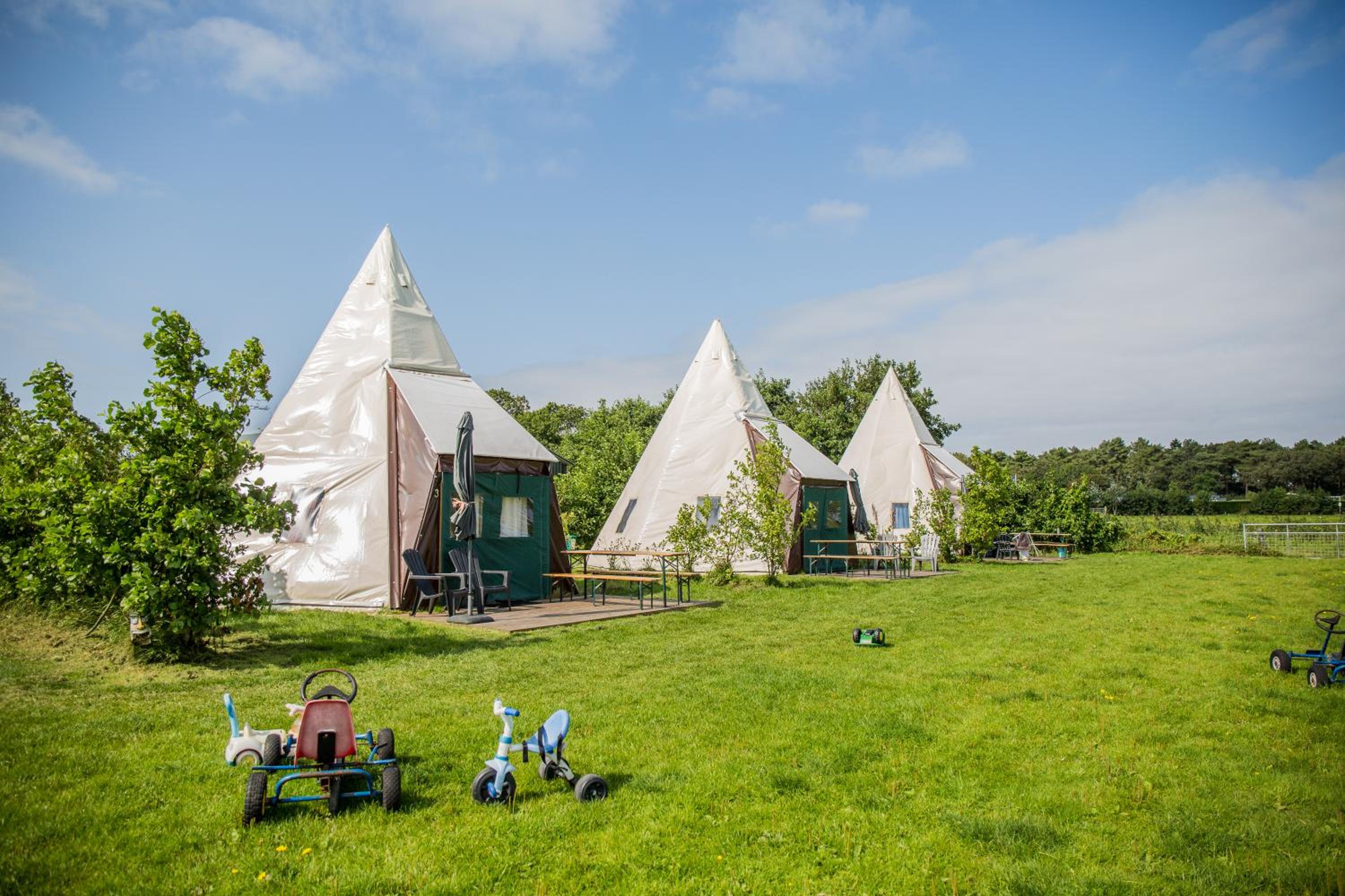 Boerderij Halfweg