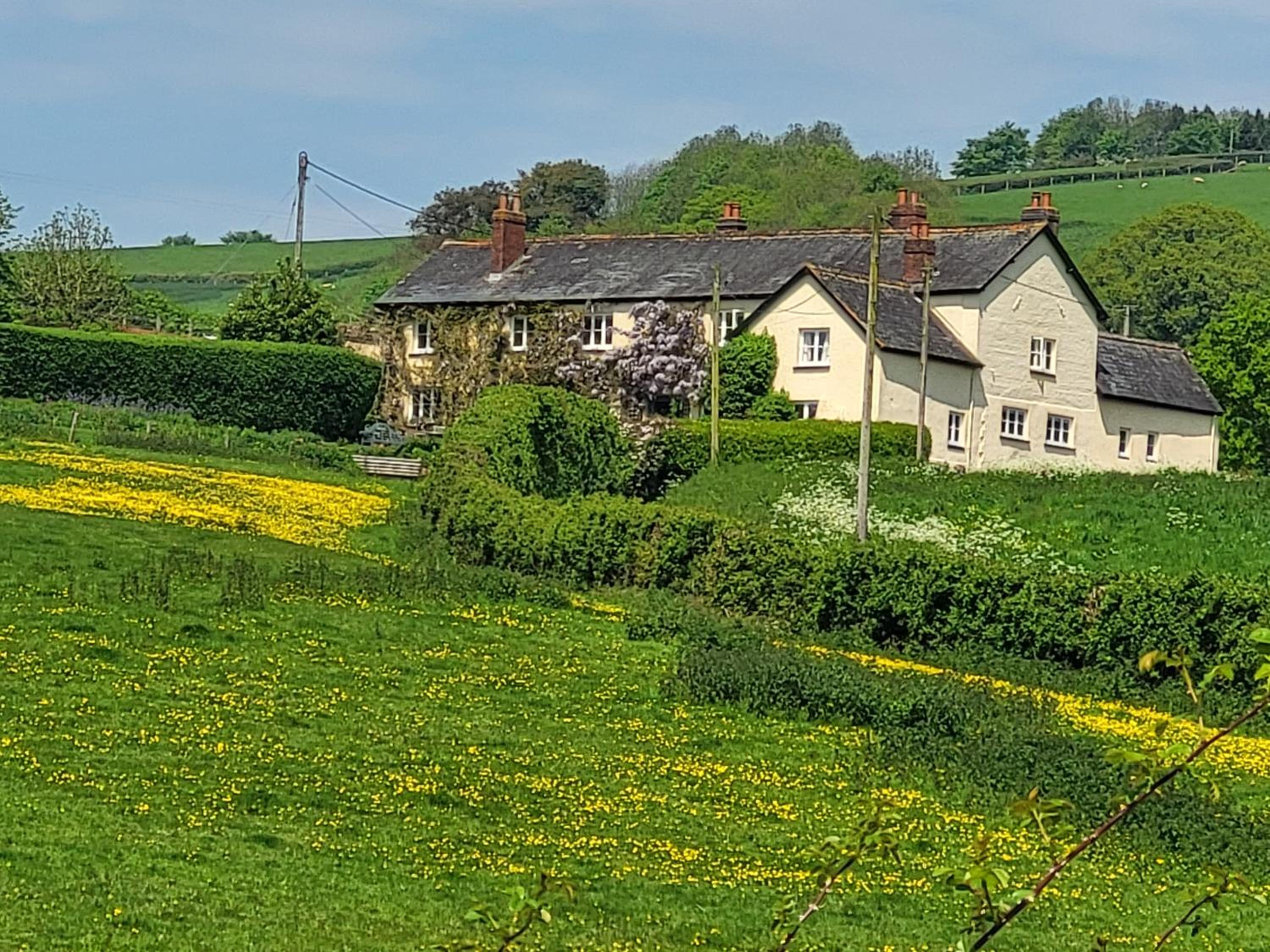 Beautiful Devon Farmhouse view 4