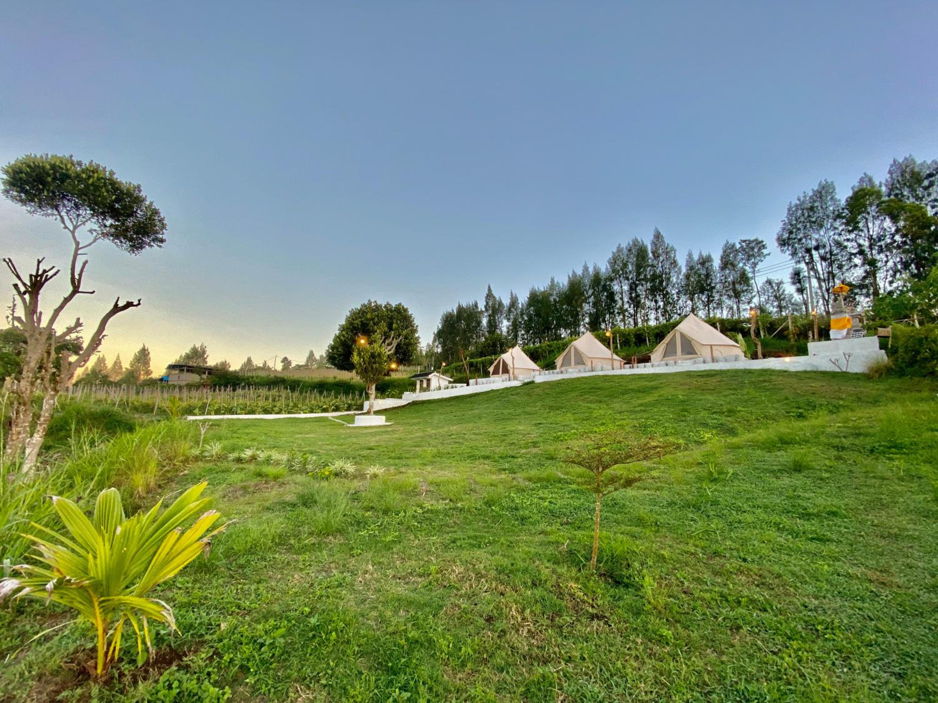 Wanahita Camp