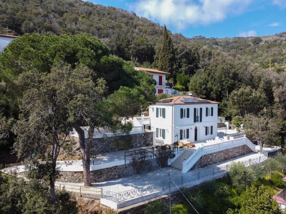 Photo 107