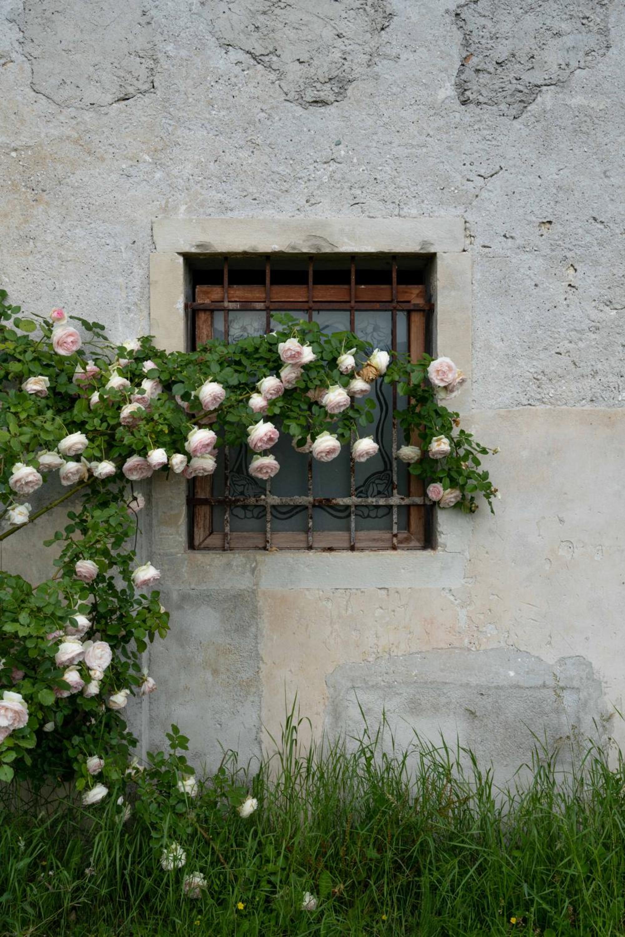 Photo 32