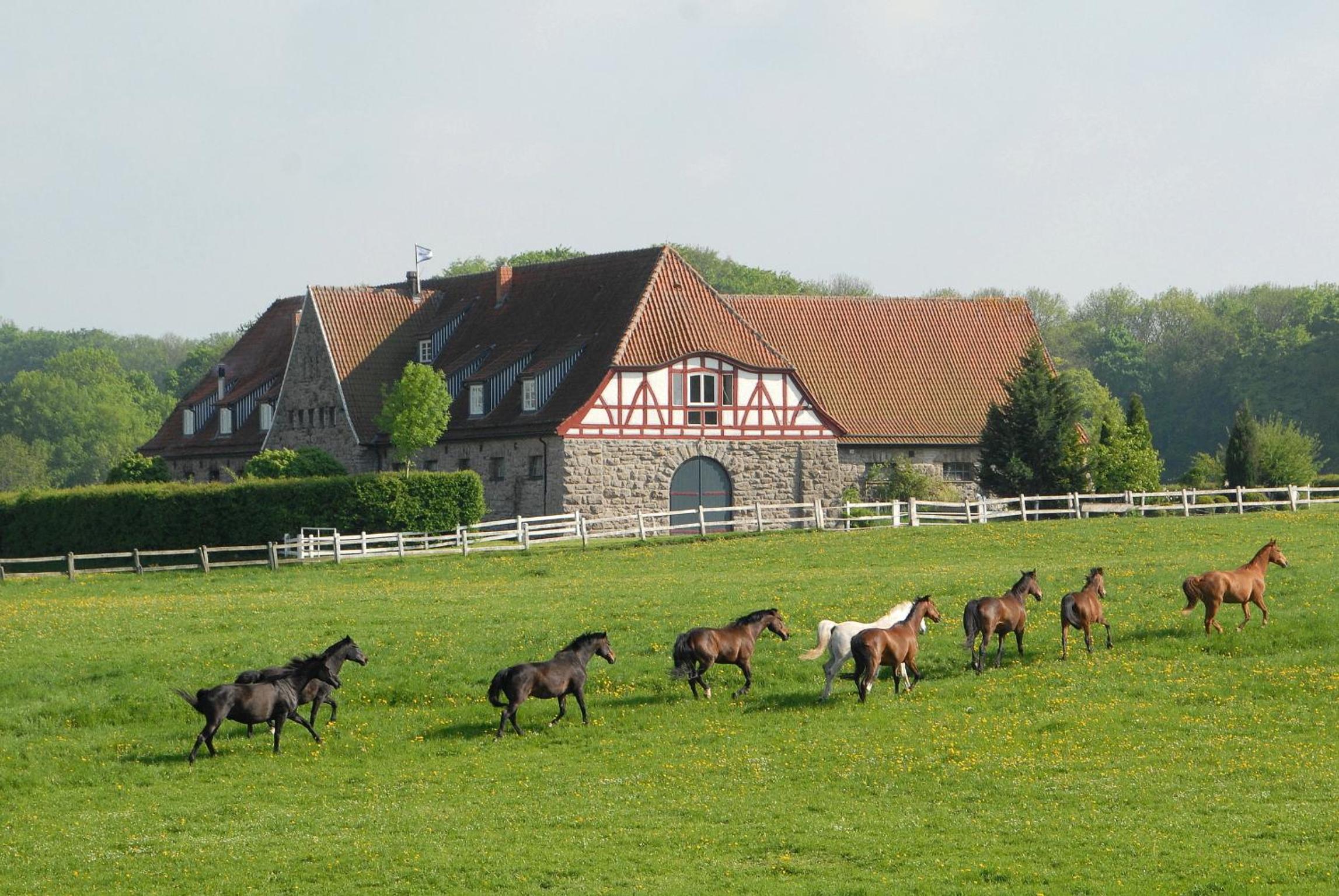 Alte Schule Altefeld