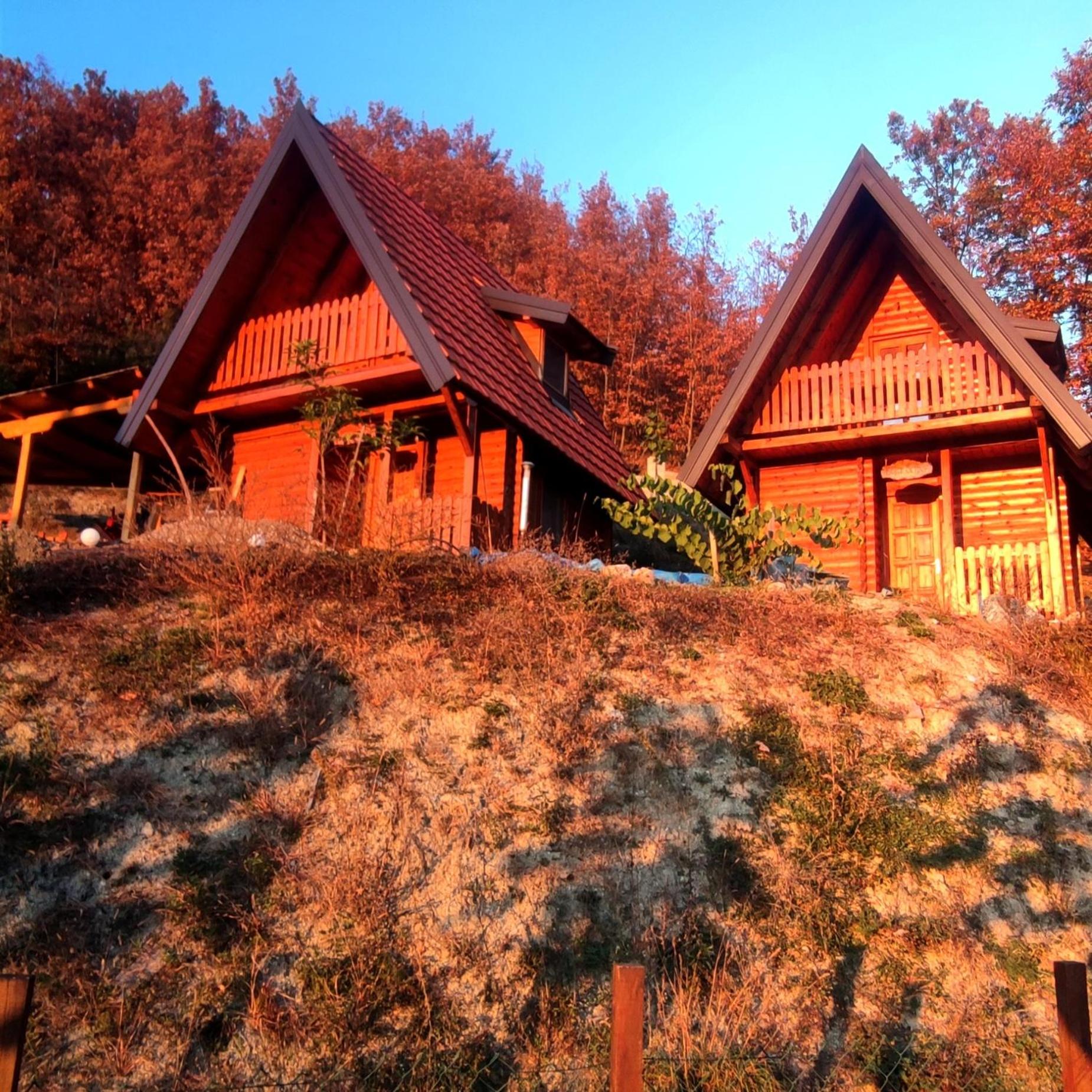 Seoski Turizam Feniks - apartman Ostrog