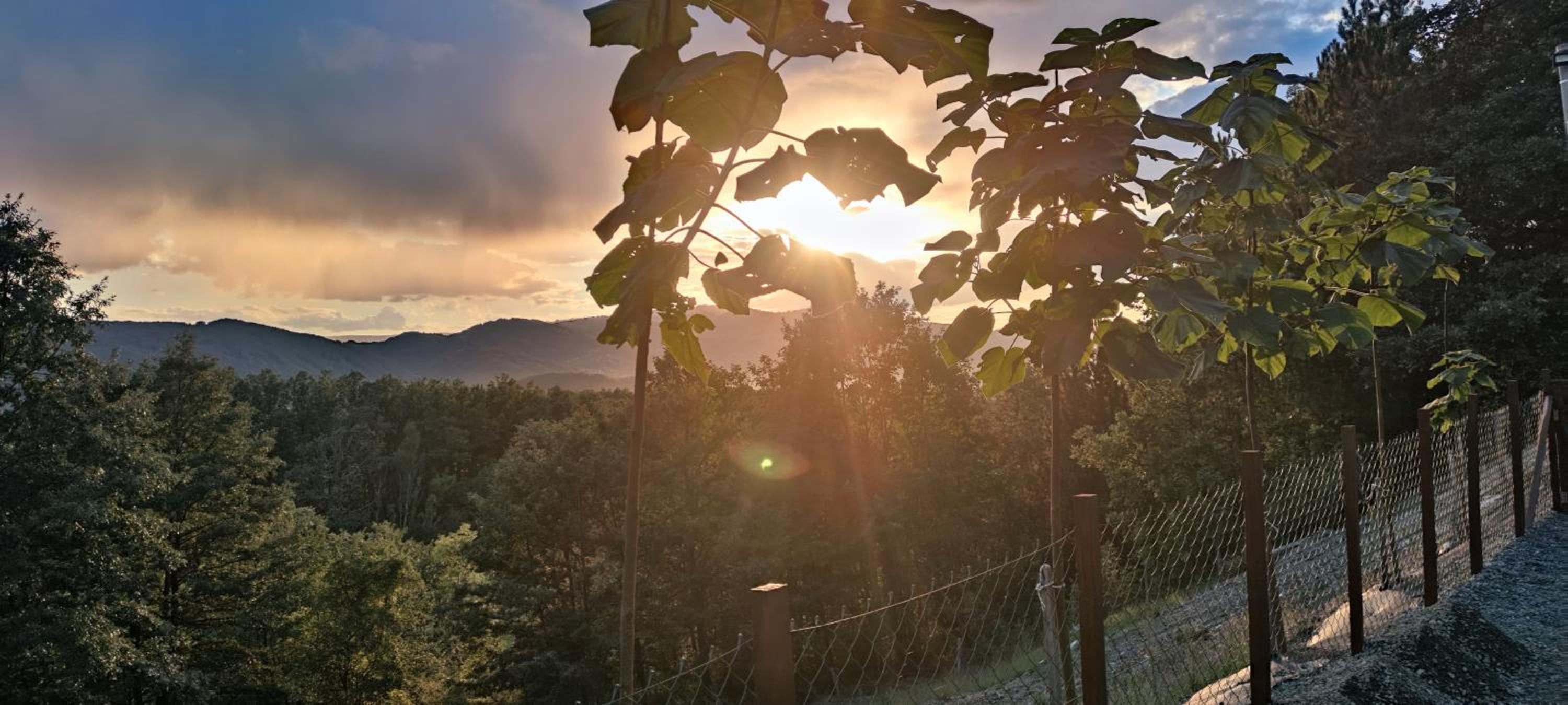 Seoski Turizam Feniks - apartman Ostrog