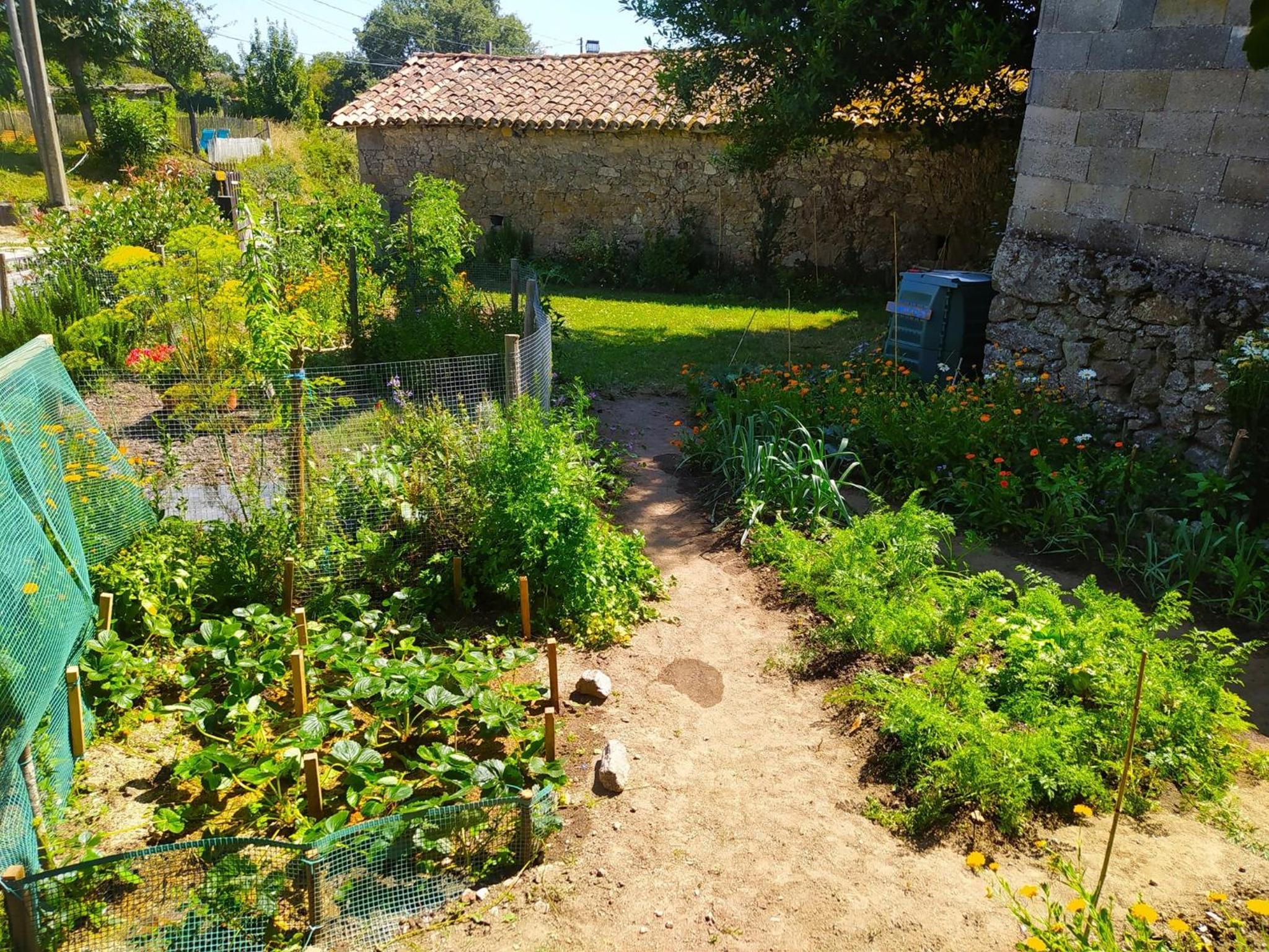 Photo 44