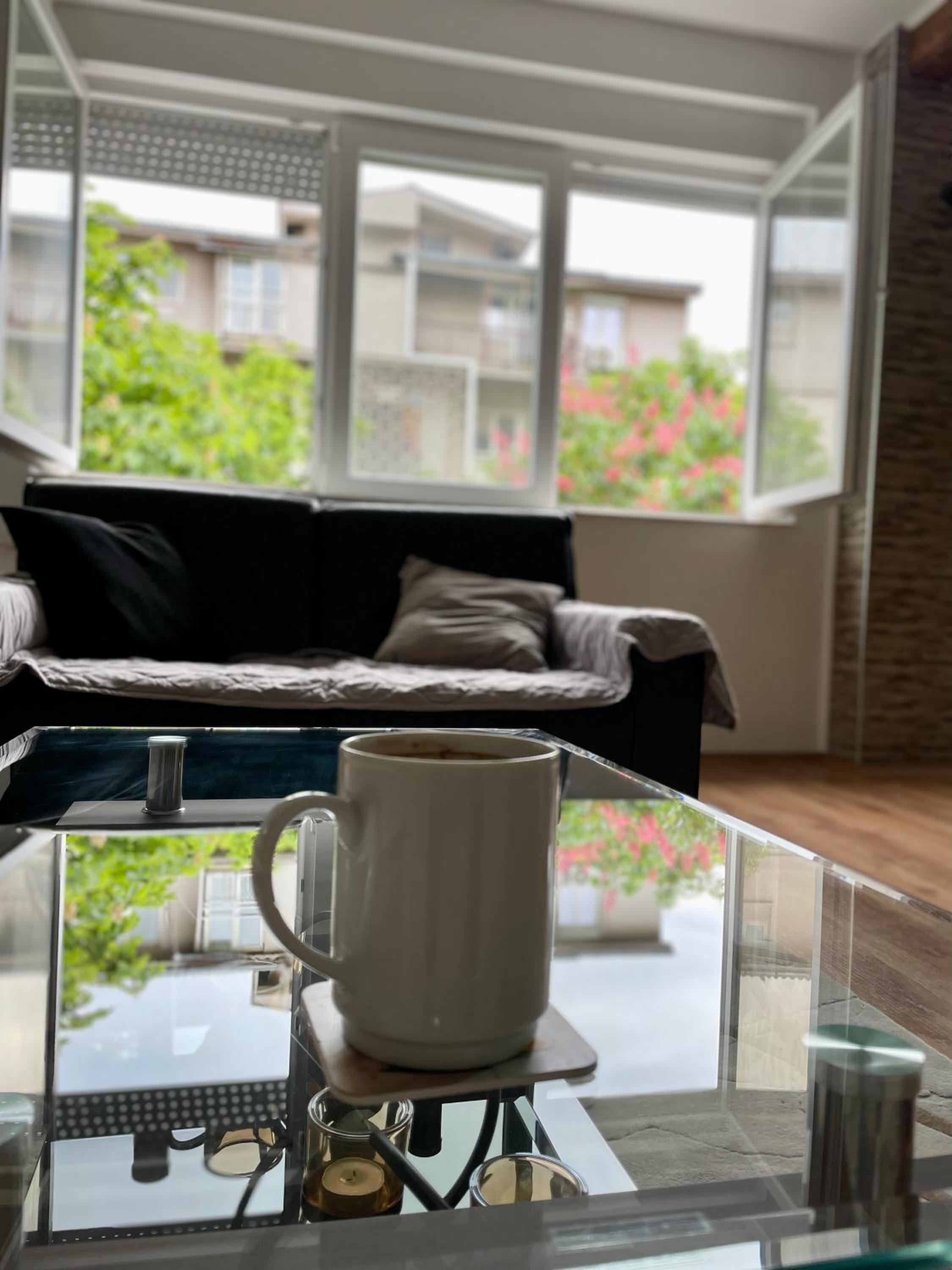 Luxury City Center Apartment view 2